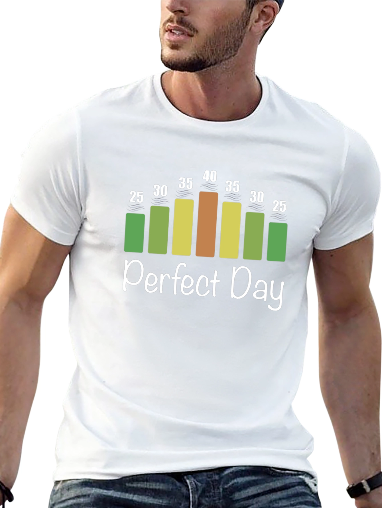 Perfect Day Weather Chart T-Shirt