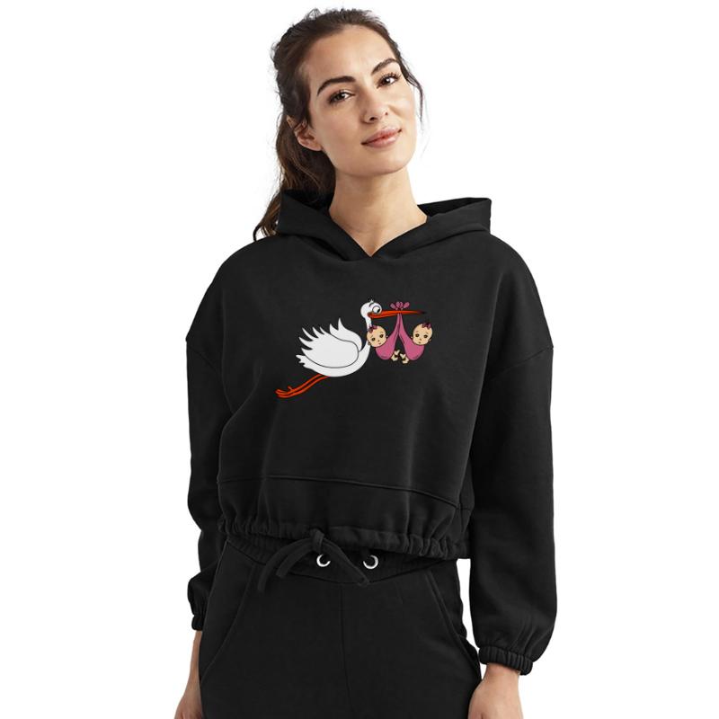 Stork Twins Baby Babies Girls Pregnancy Daughters