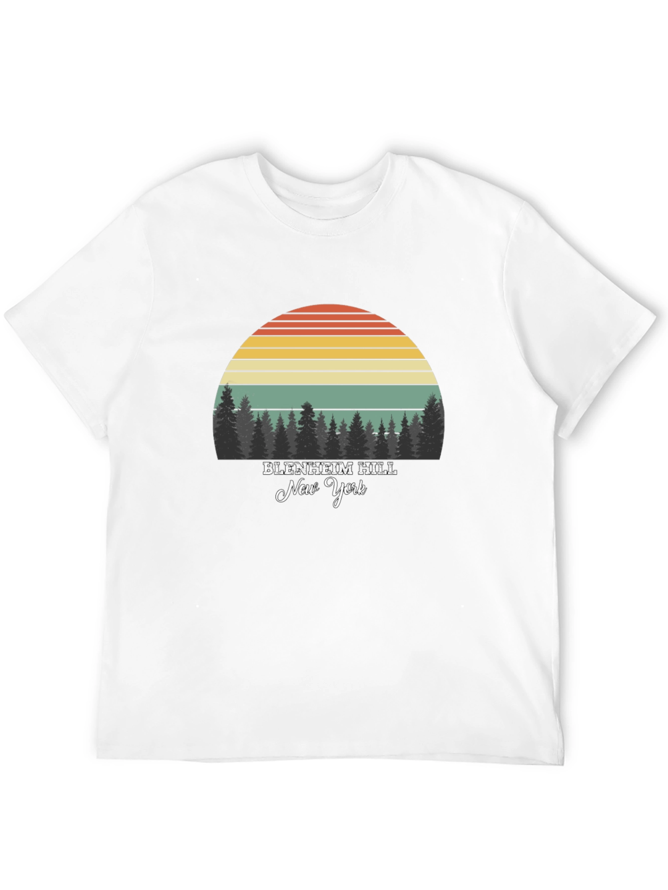 Blenheim Hill New York Retro T-Shirt