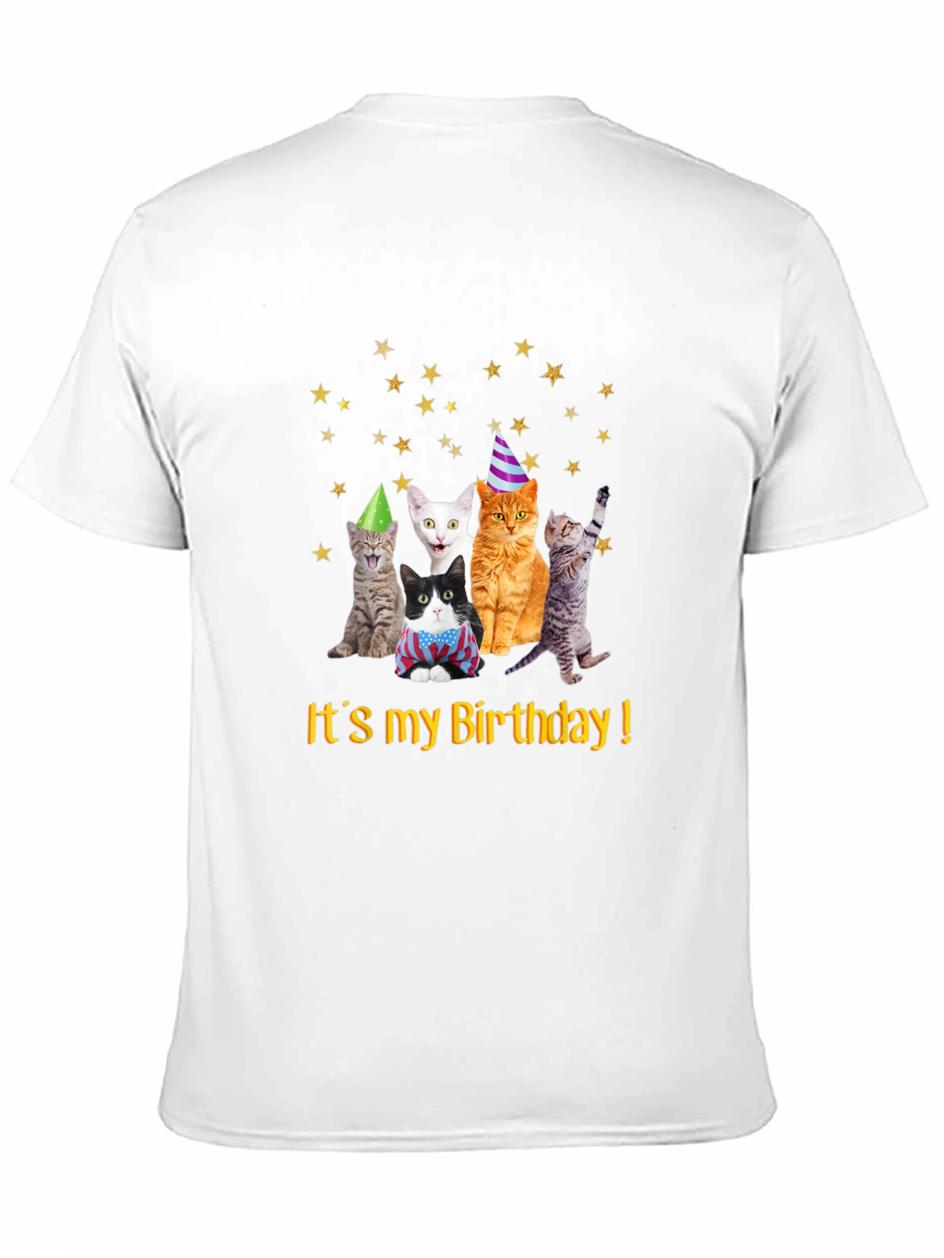 Birthday Cats T-Shirt