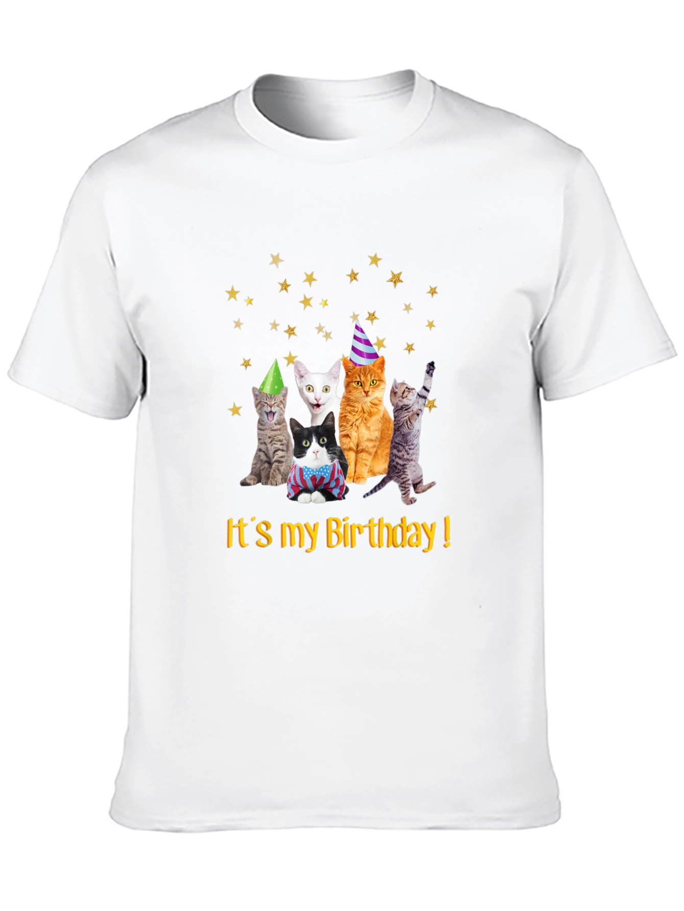 Birthday Cats T-Shirt