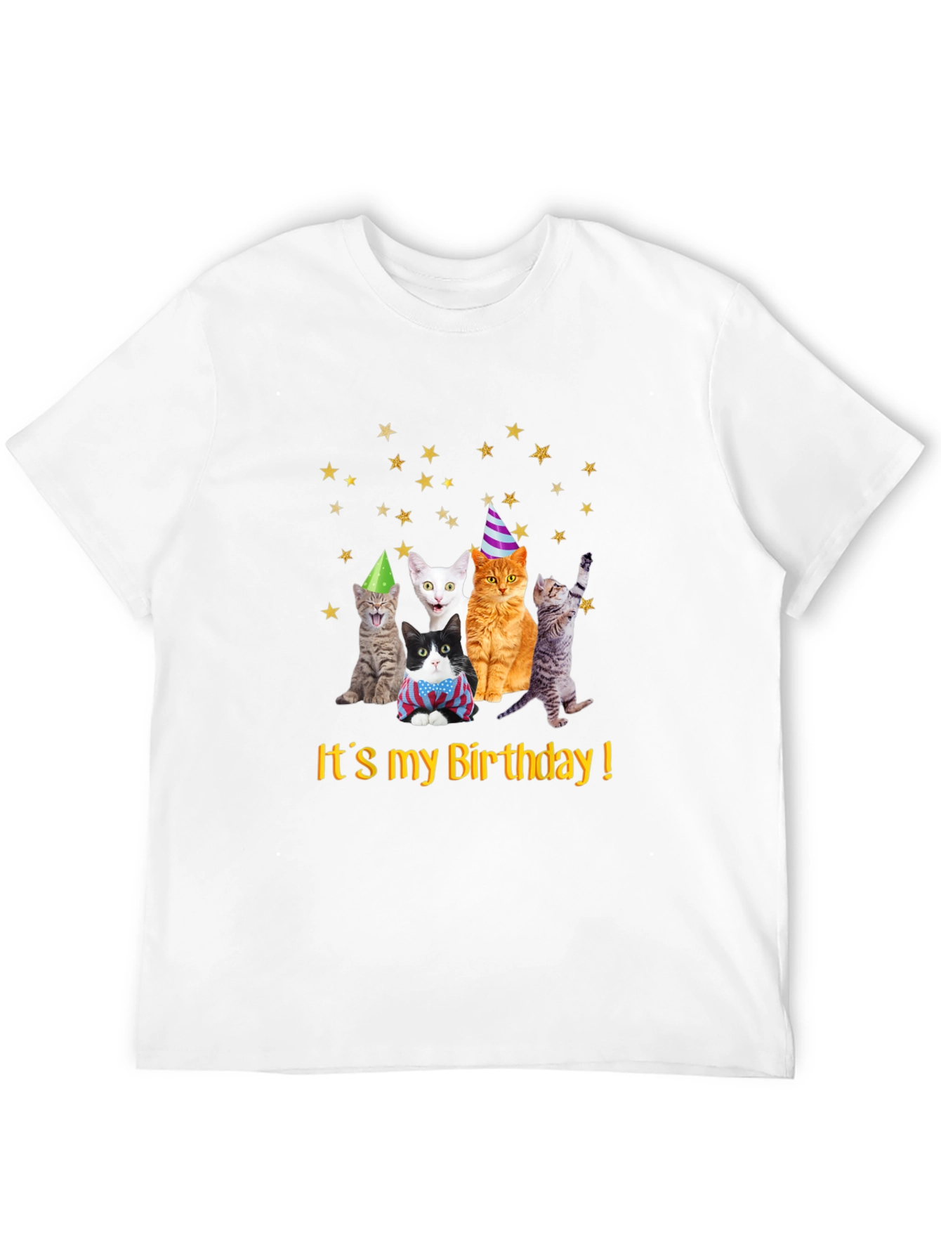 Birthday Cats T-Shirt