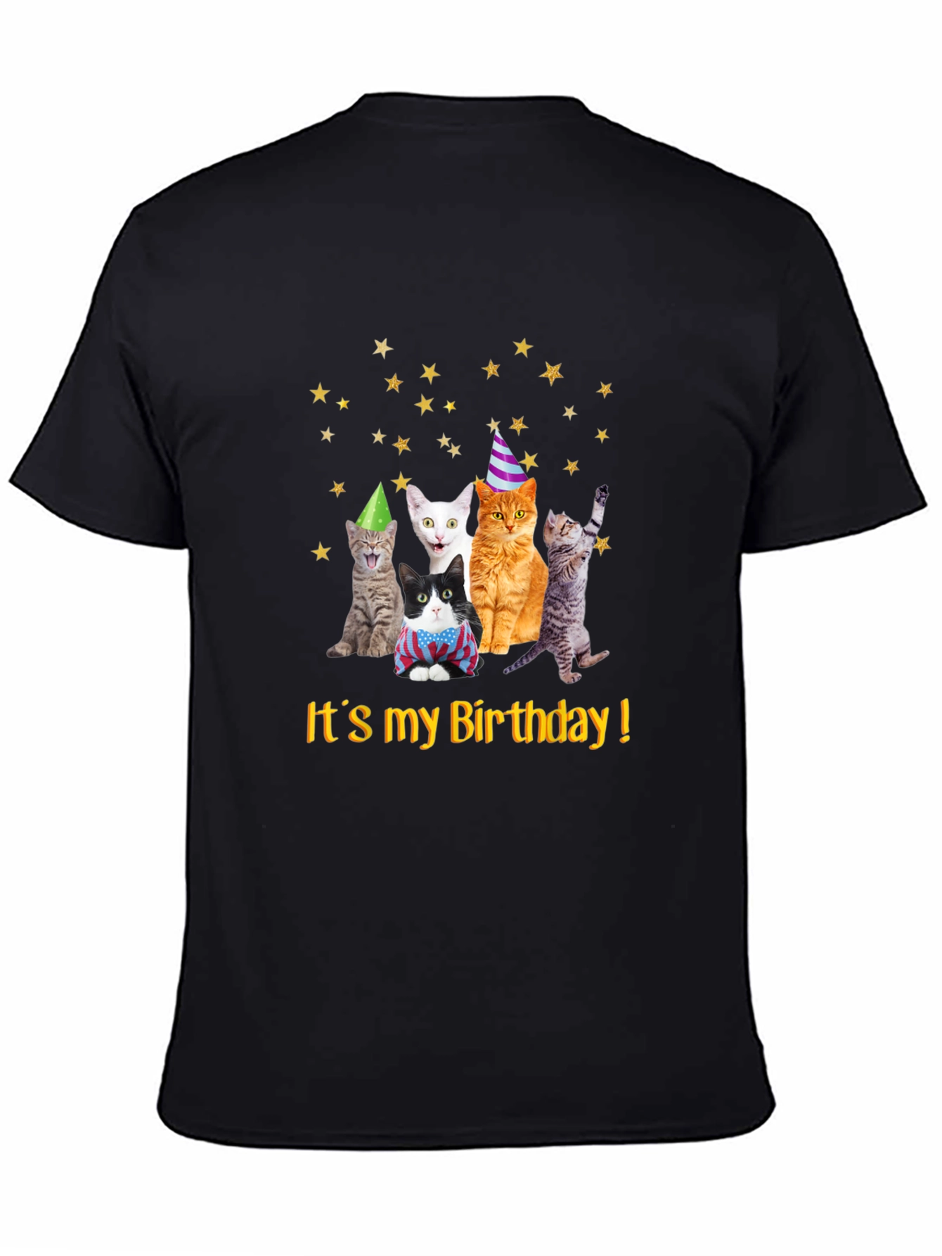 Birthday Cats T-Shirt