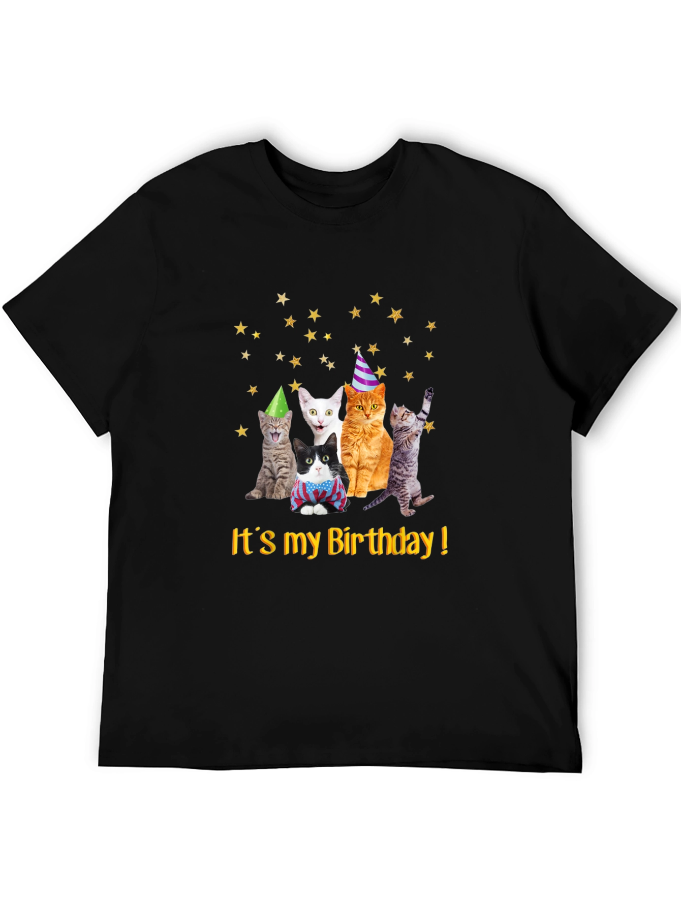 Birthday Cats T-Shirt