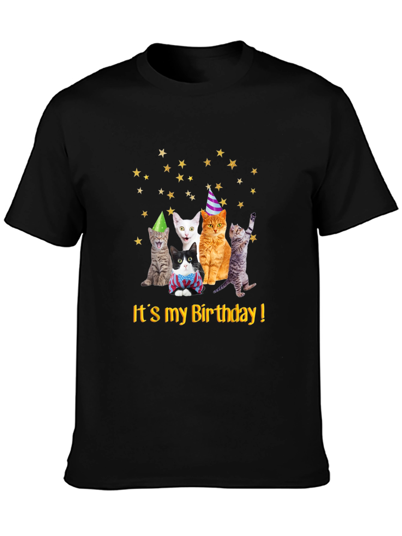 Birthday Cats T-Shirt