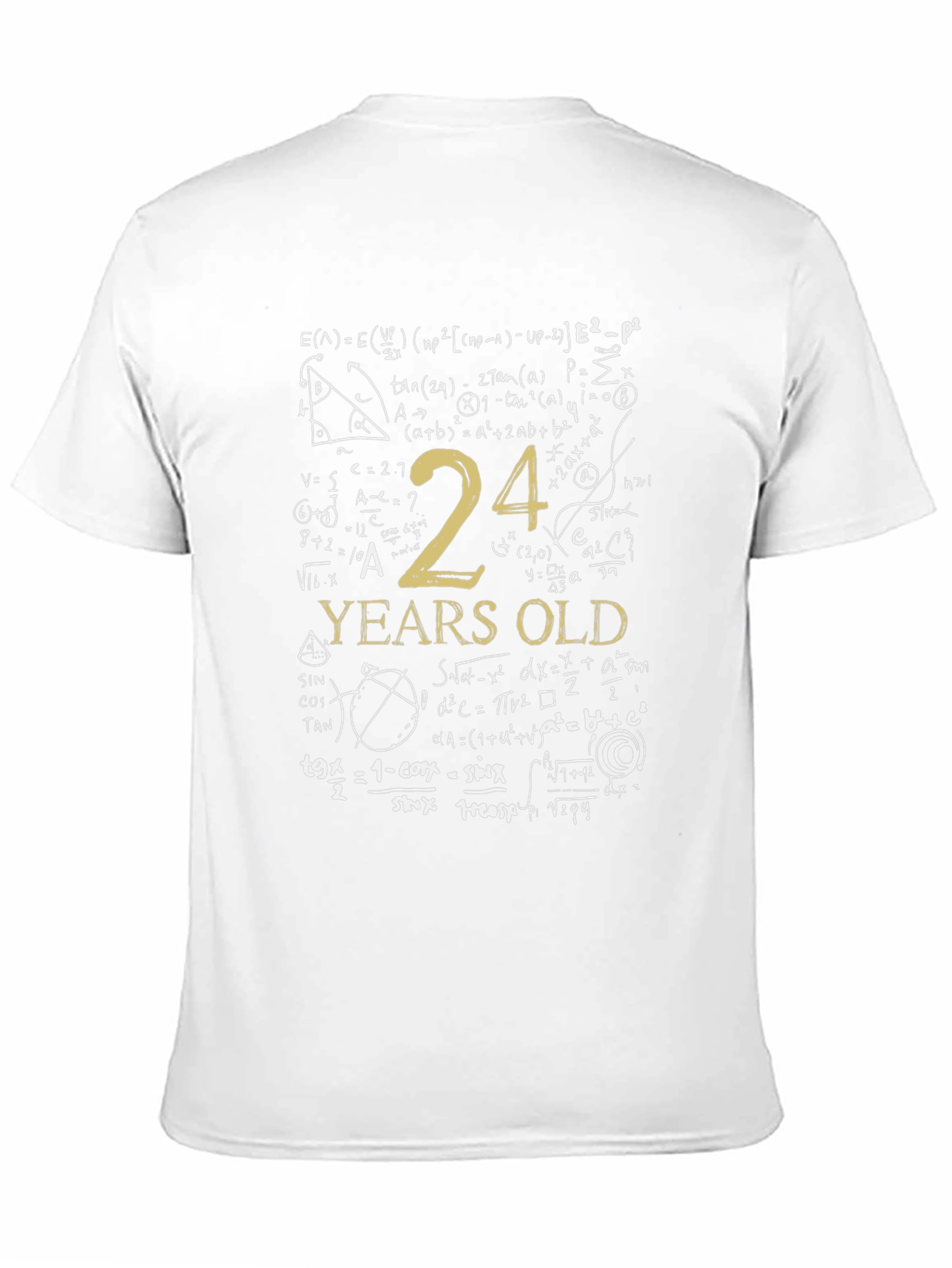 24 Years Old Math Equations T-Shirt Funny Birthday Tee