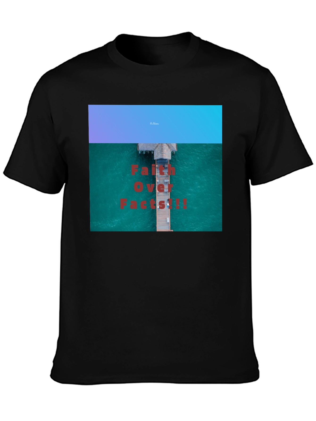 Faith Over Facts Black T-Shirt