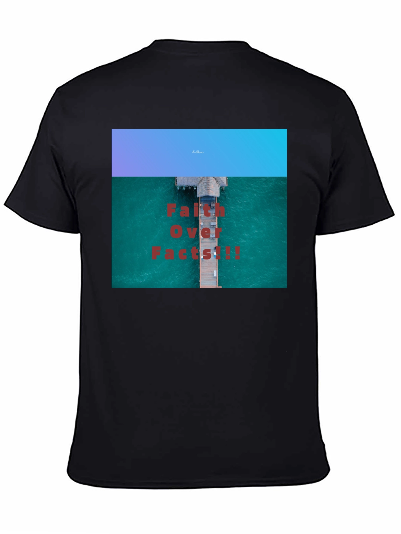 Faith Over Facts Black T-Shirt