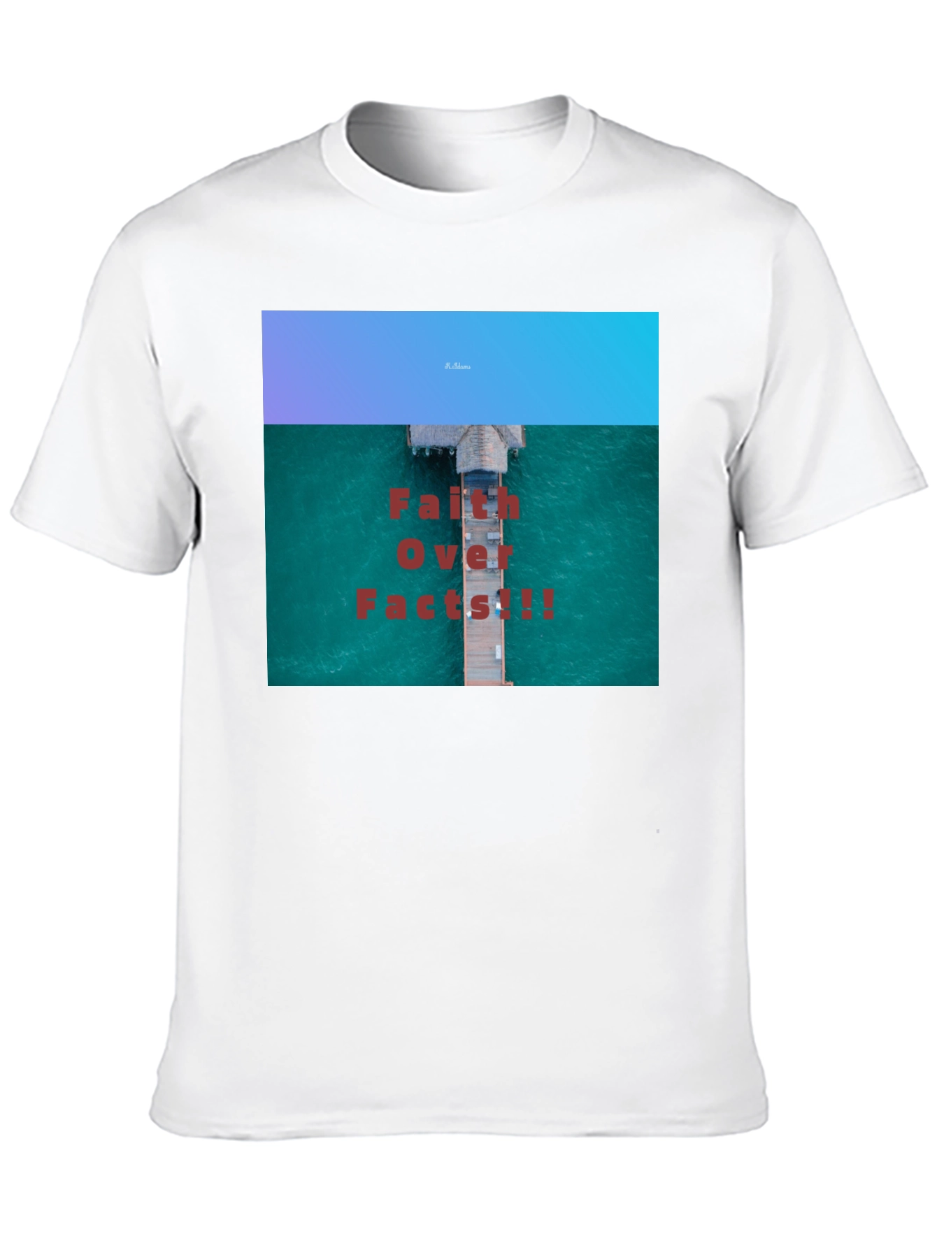 Faith Over Facts Black T-Shirt