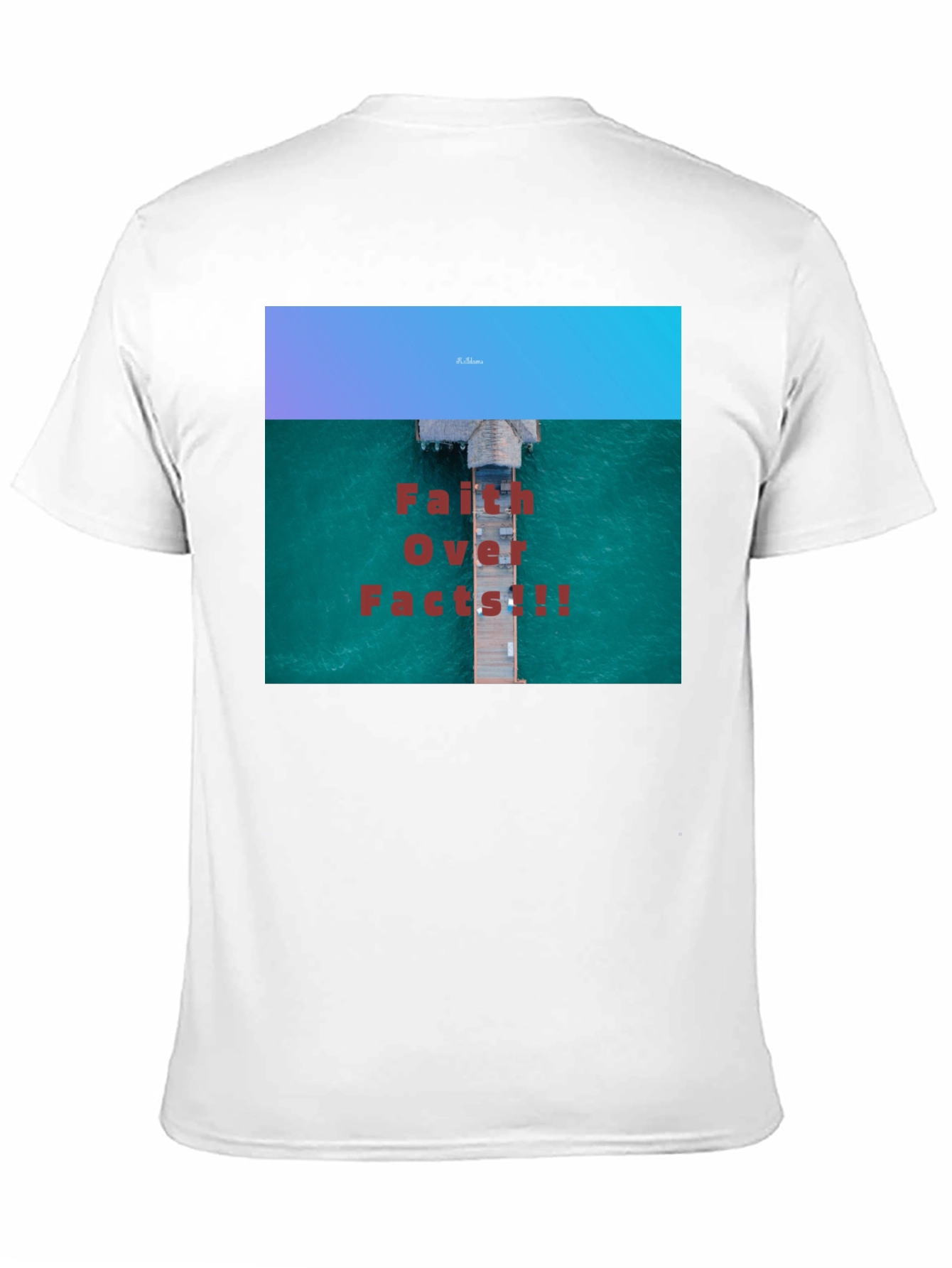 Faith Over Facts Black T-Shirt