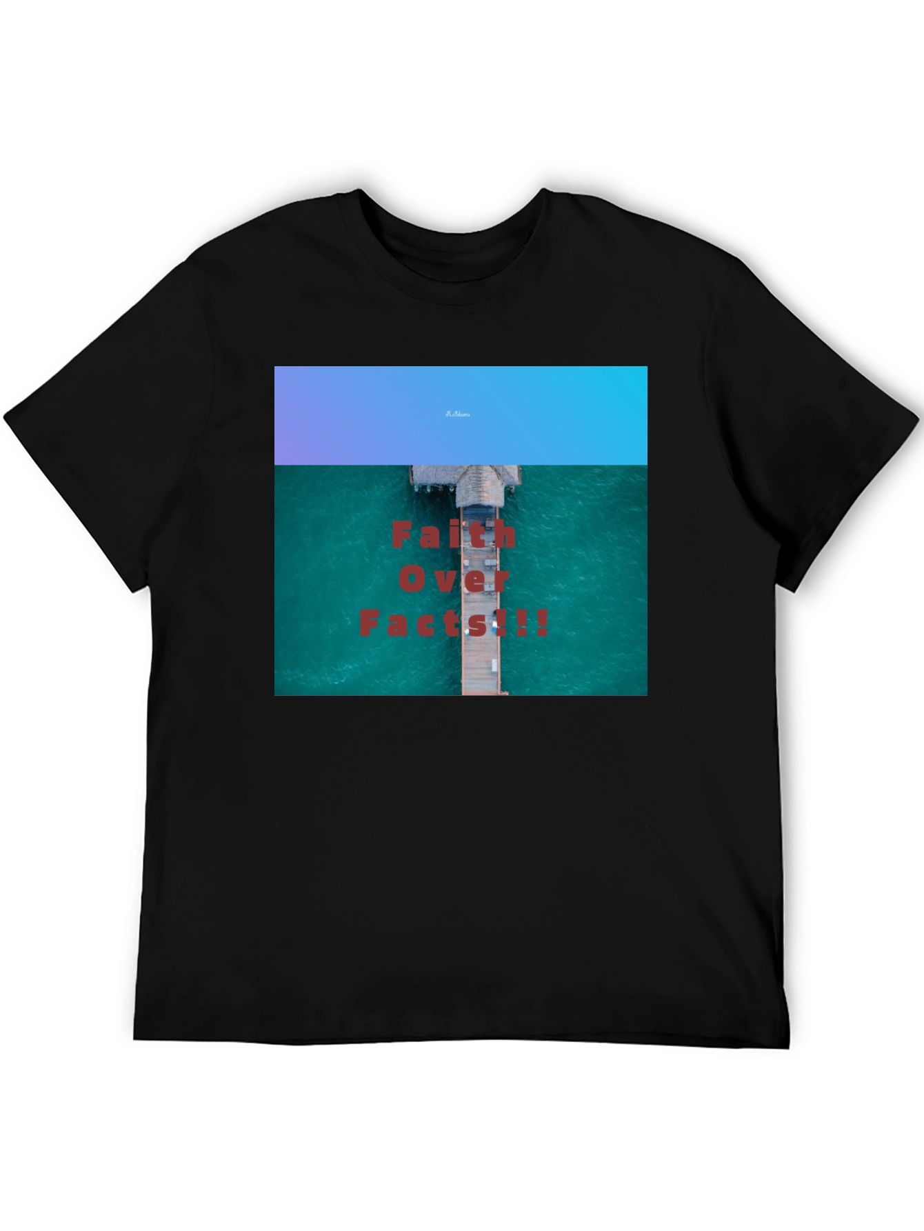 Faith Over Facts Black T-Shirt