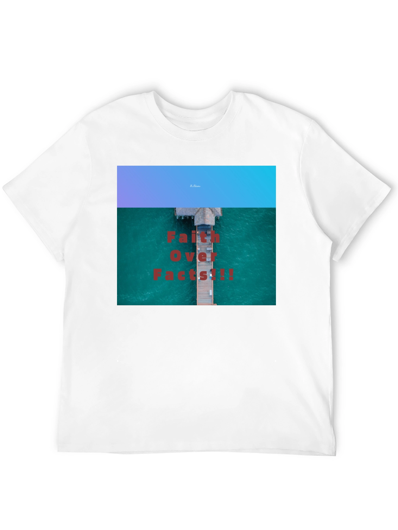 Faith Over Facts Black T-Shirt