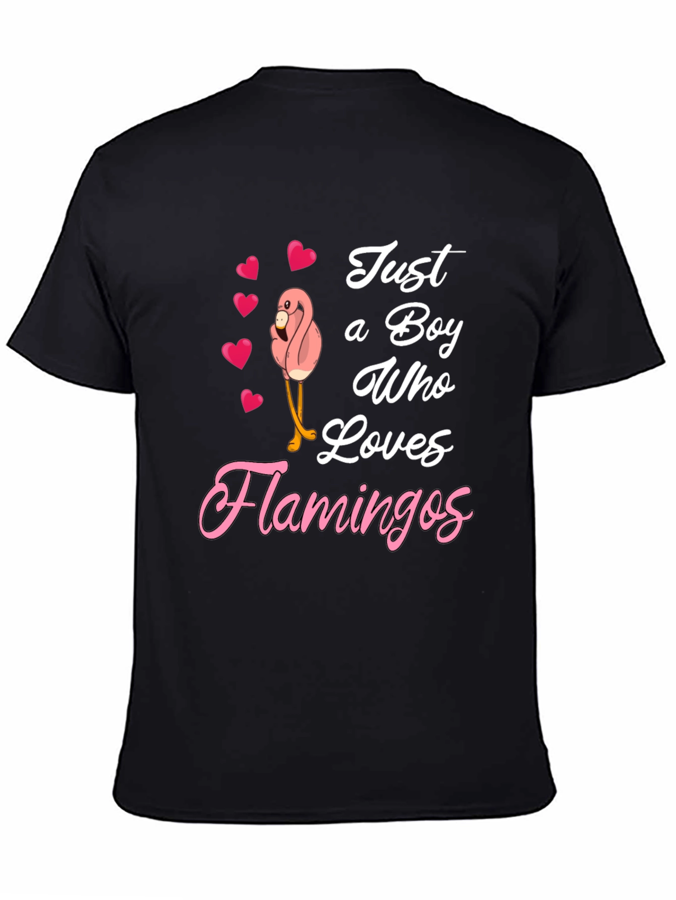 Boy Loves Flamingos Graphic T-Shirt