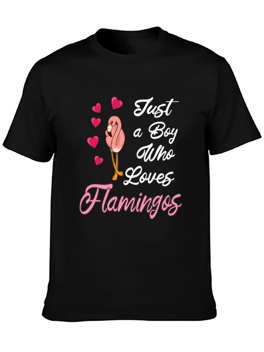 Boy Loves Flamingos Graphic T-Shirt