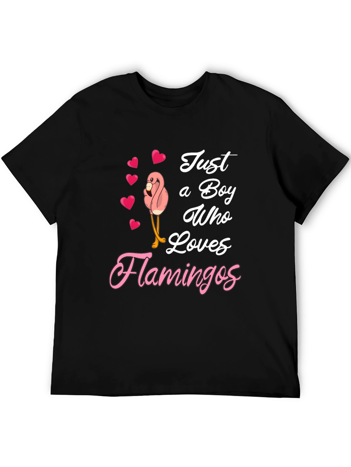 Boy Loves Flamingos Graphic T-Shirt