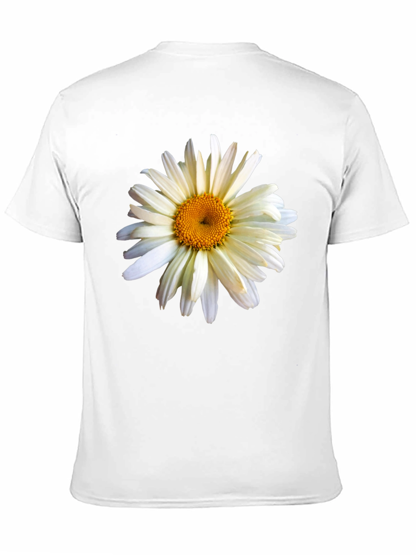 Daisy Graphic T-Shirt