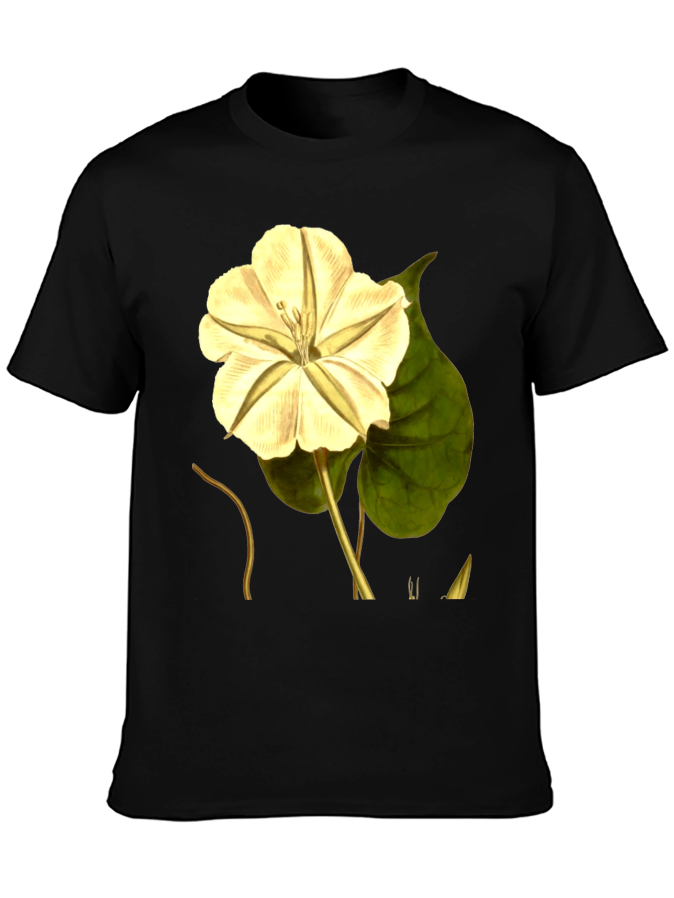 Botanical Moonflower Graphic Tee
