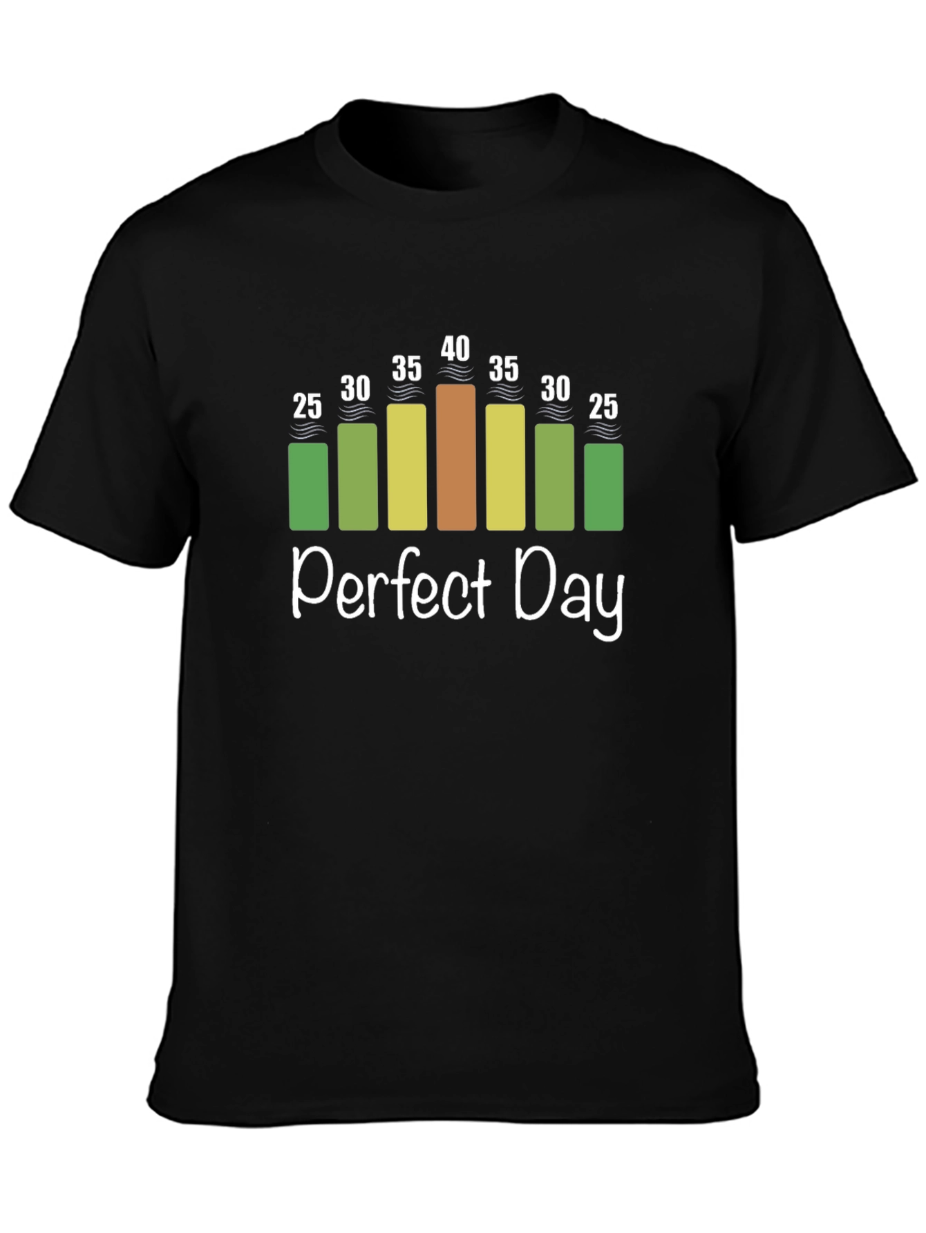 Perfect Day Weather Chart T-Shirt