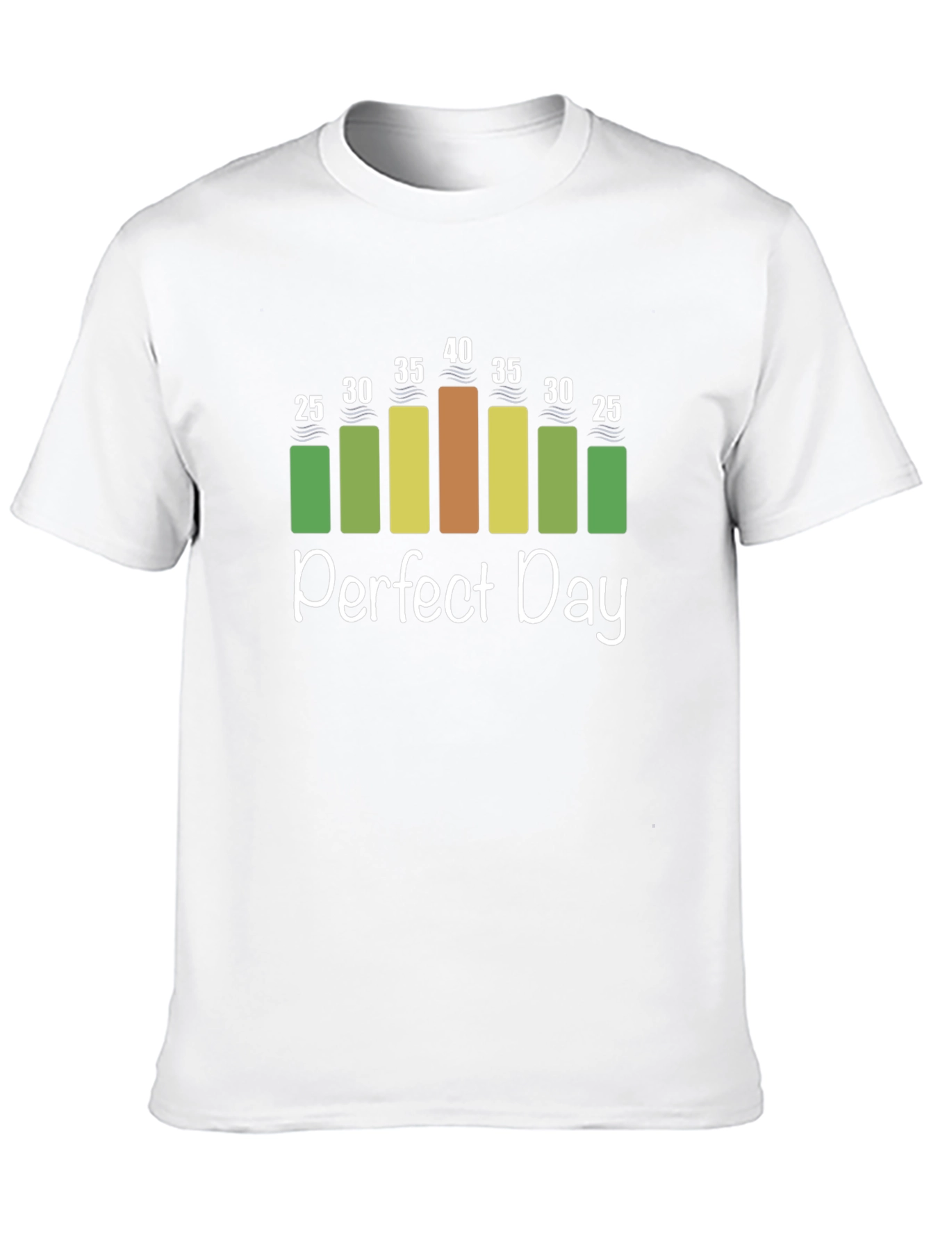 Perfect Day Weather Chart T-Shirt