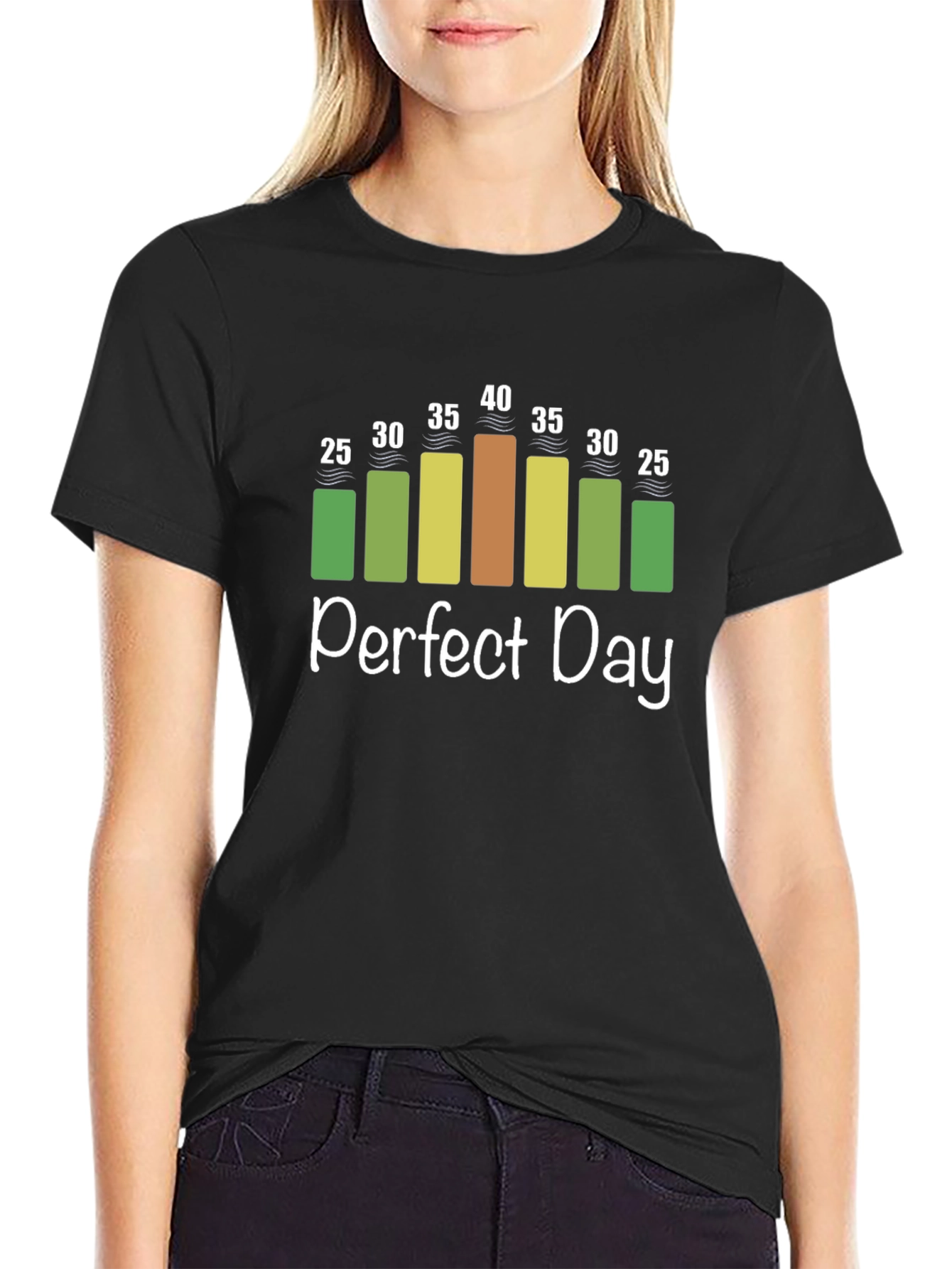 Perfect Day Weather Chart T-Shirt