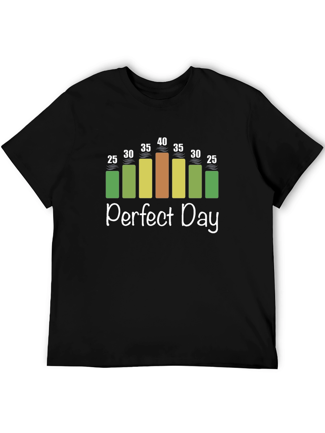 Perfect Day Weather Chart T-Shirt