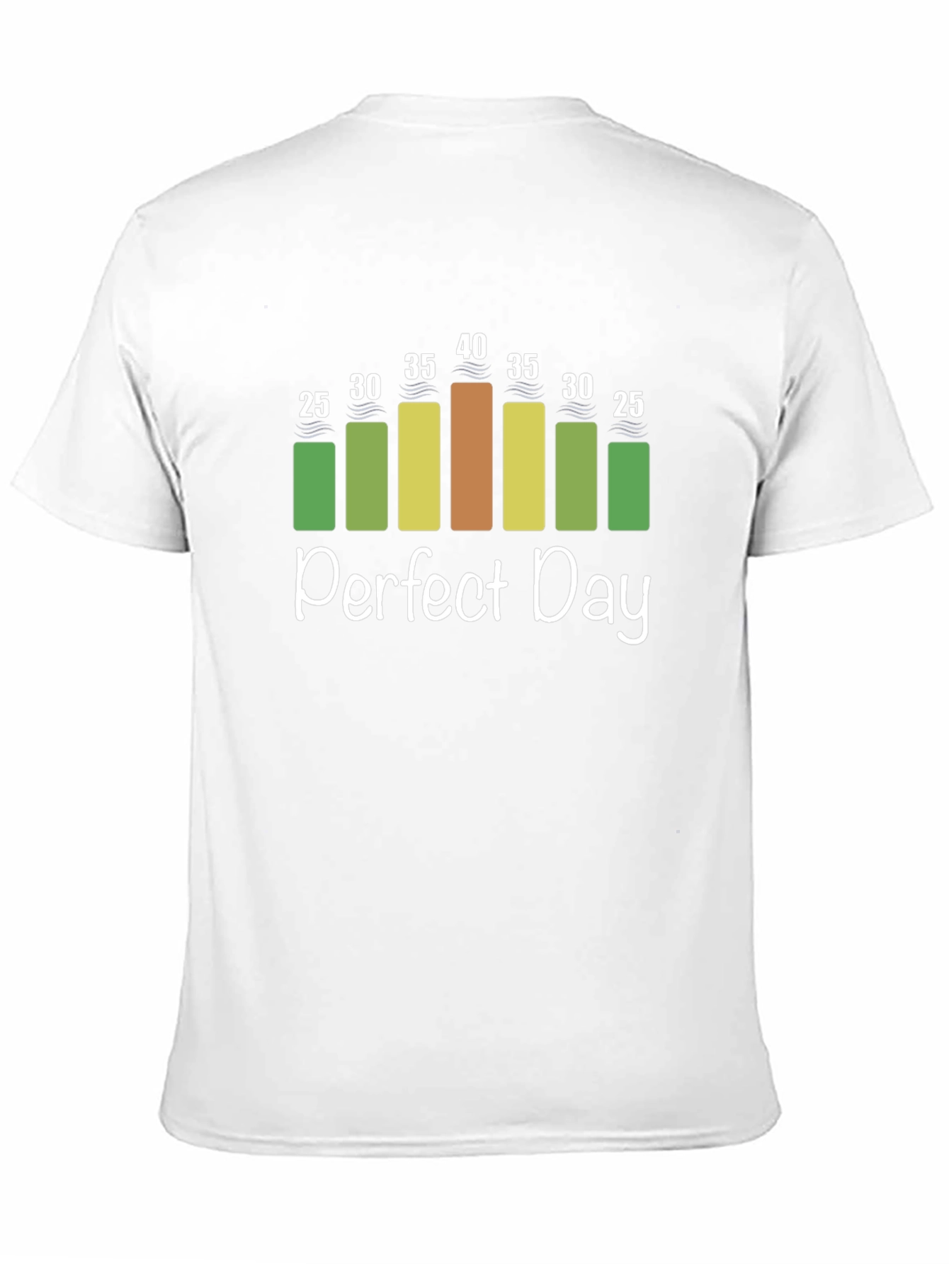 Perfect Day Weather Chart T-Shirt