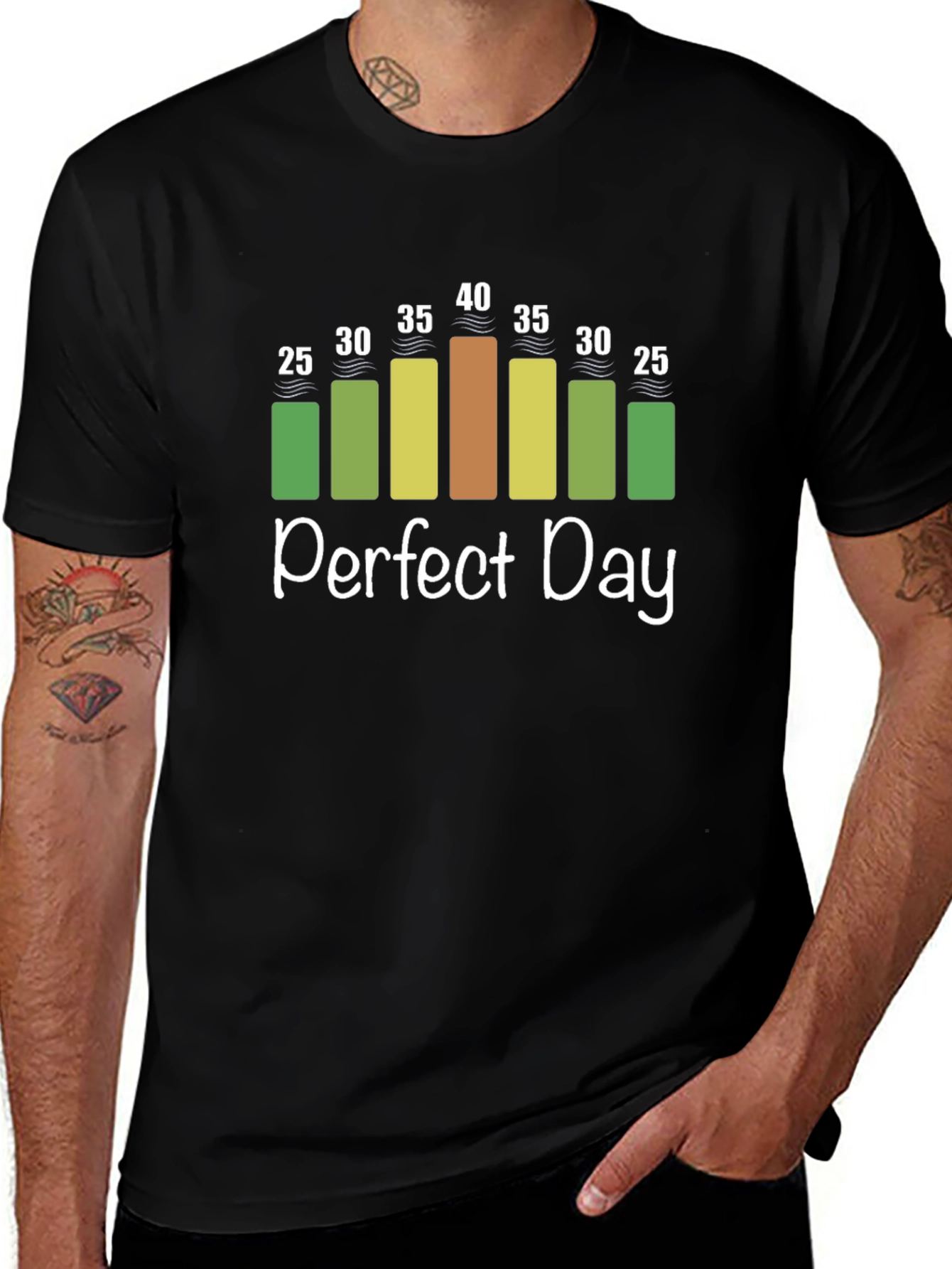 Perfect Day Weather Chart T-Shirt