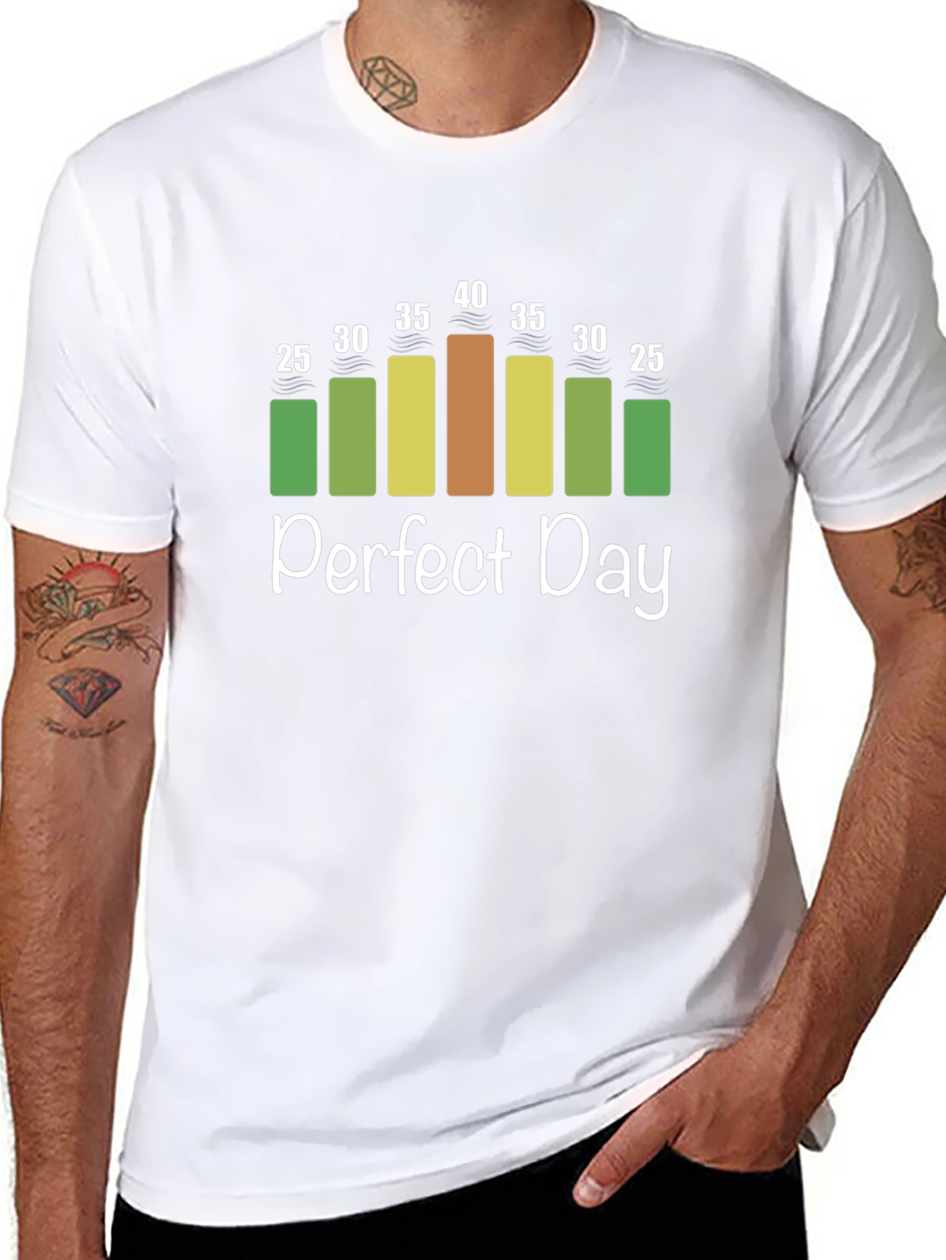 Perfect Day Weather Chart T-Shirt