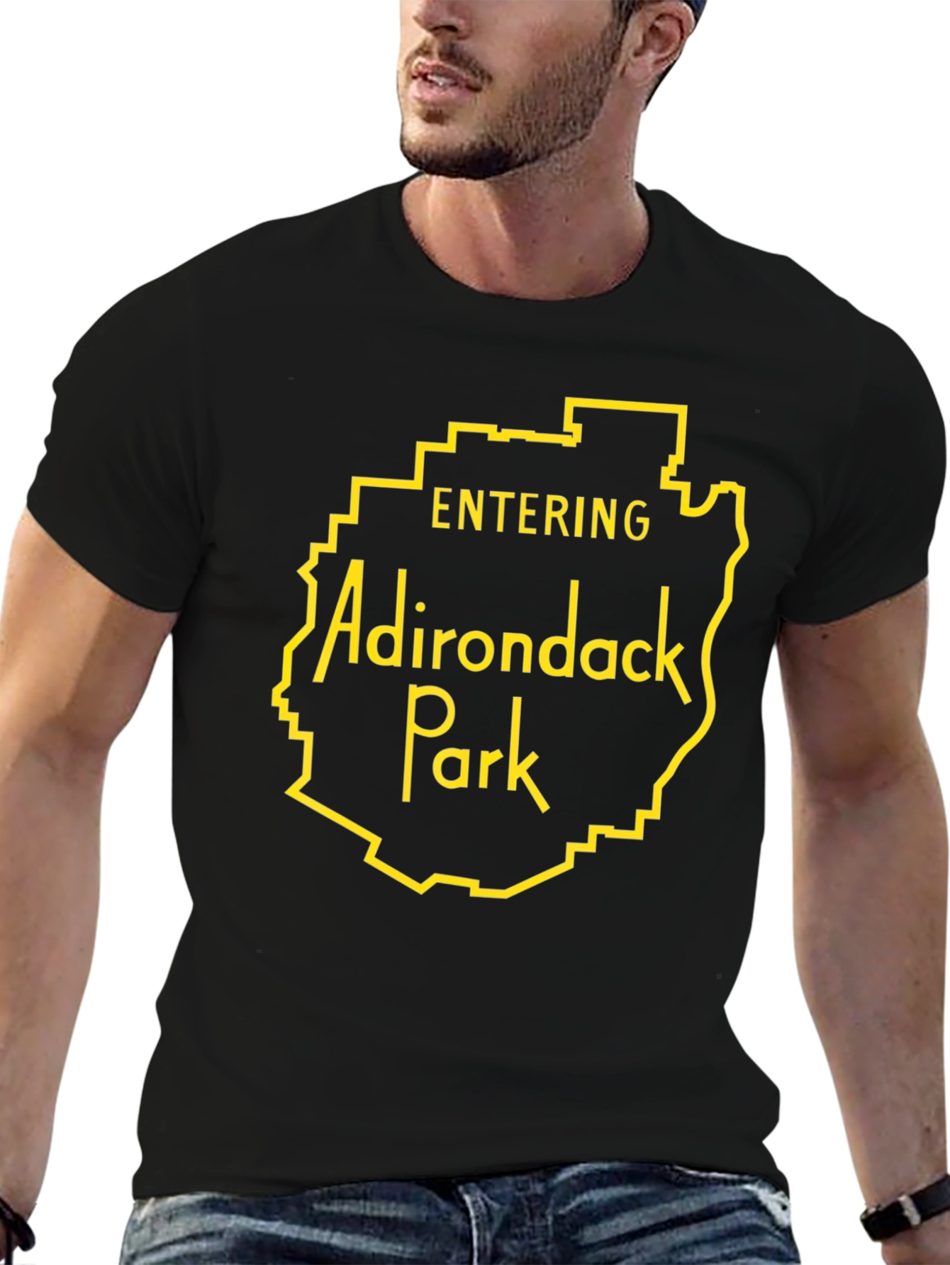 Adirondack Park Entrance Graphic Tee