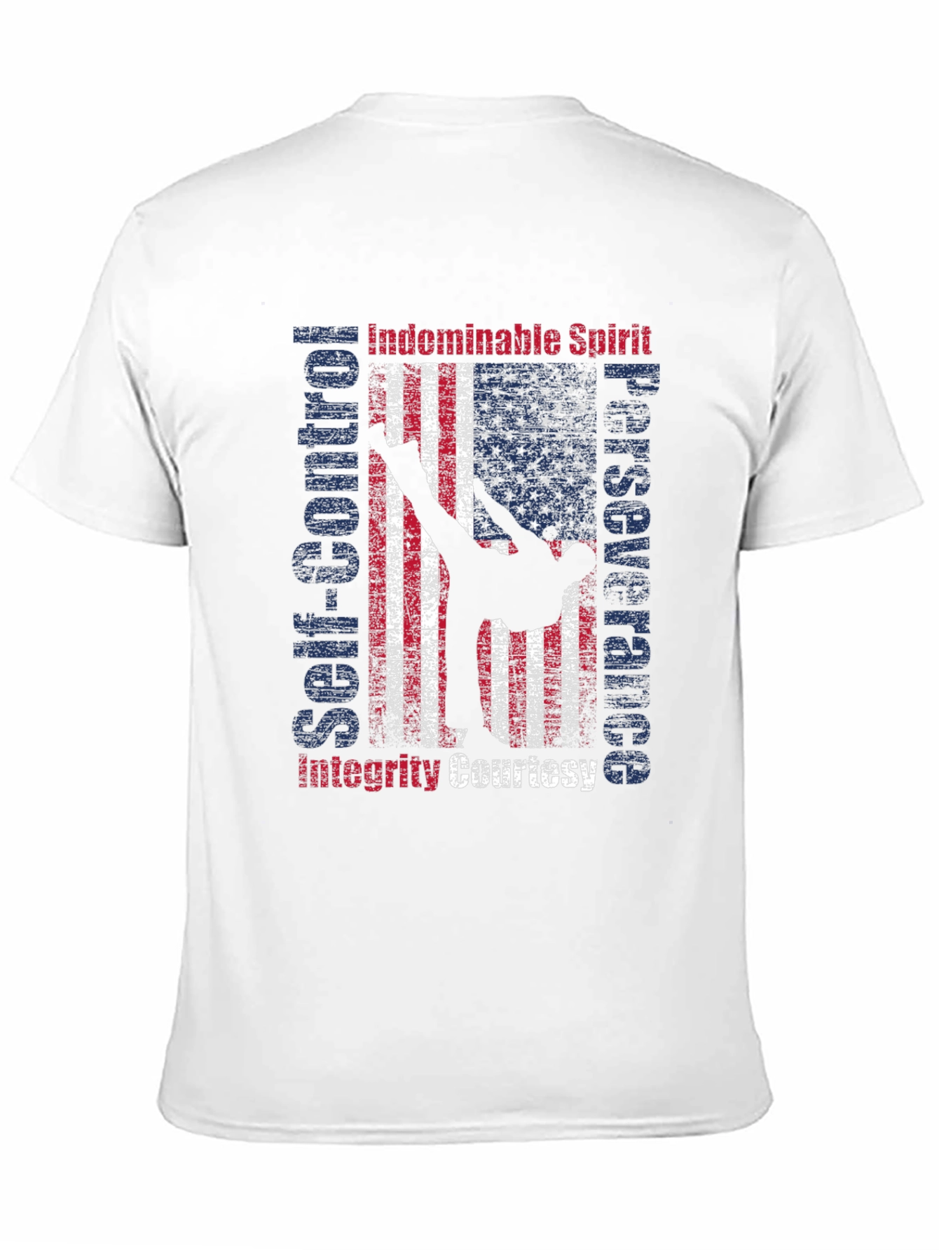 Martial Arts American Flag Patriotic Graphic T-Shirt
