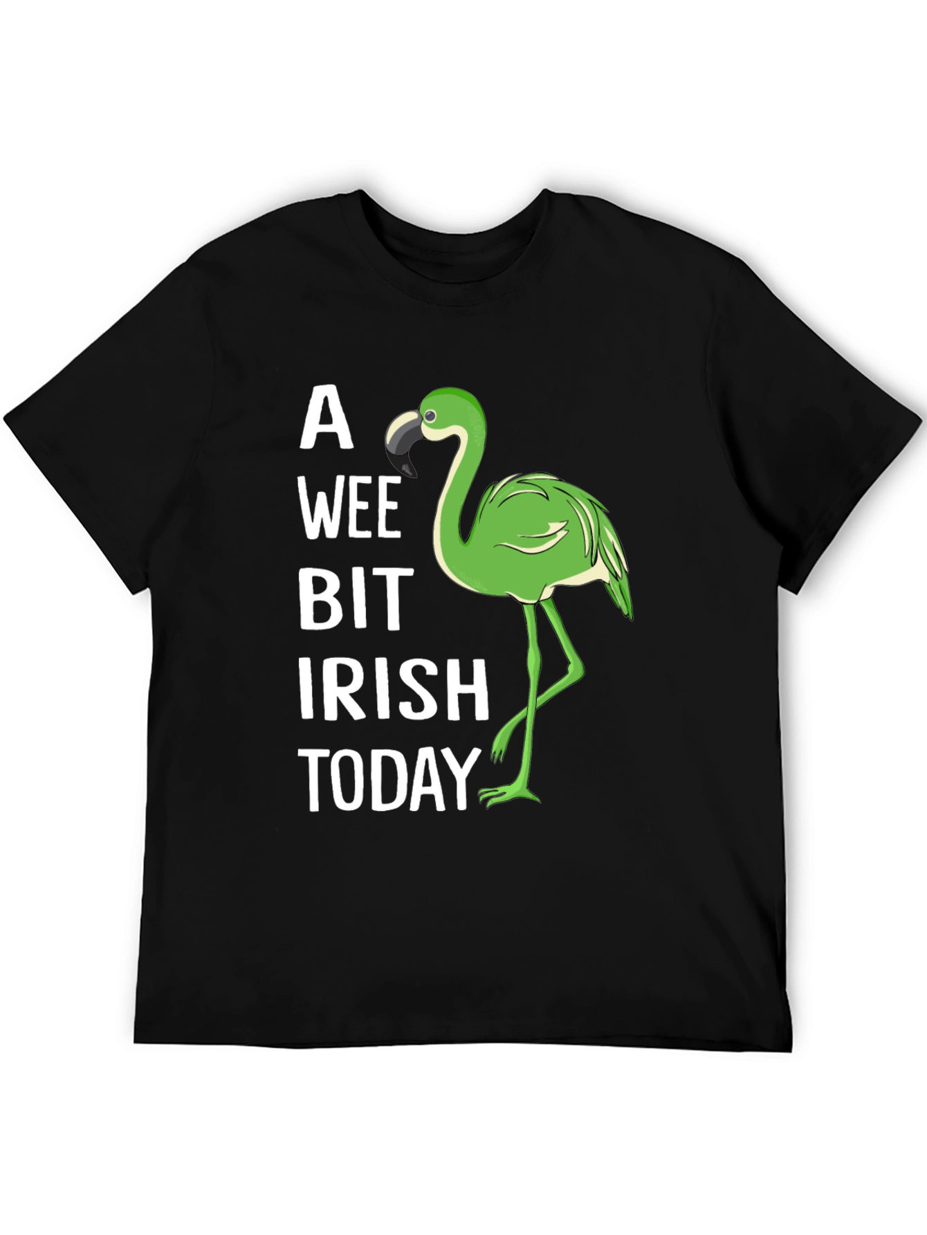 A Wee Bit Irish Today T-Shirt