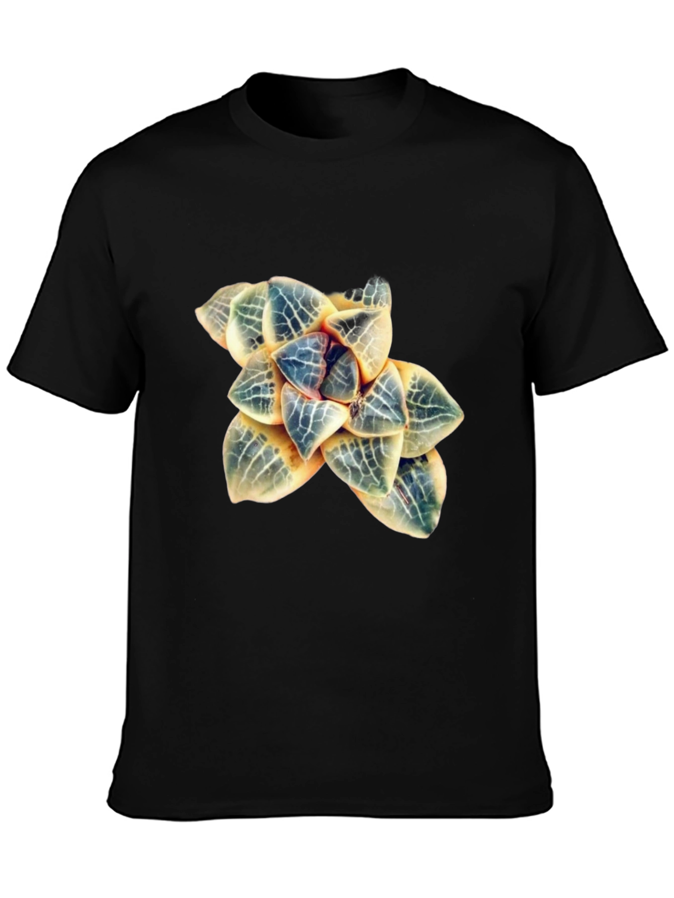 Botanical Haworthia T-Shirt