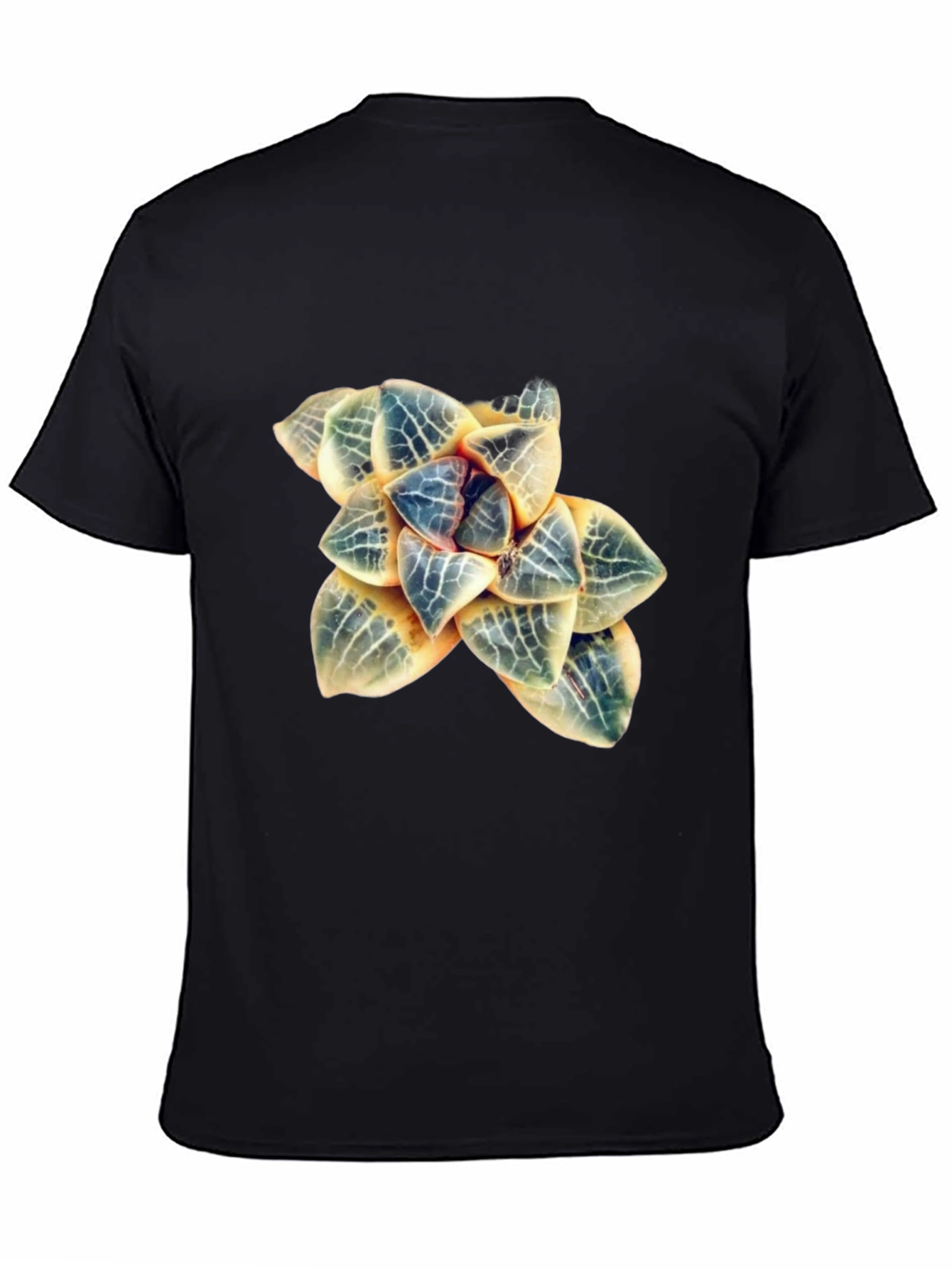 Botanical Haworthia T-Shirt