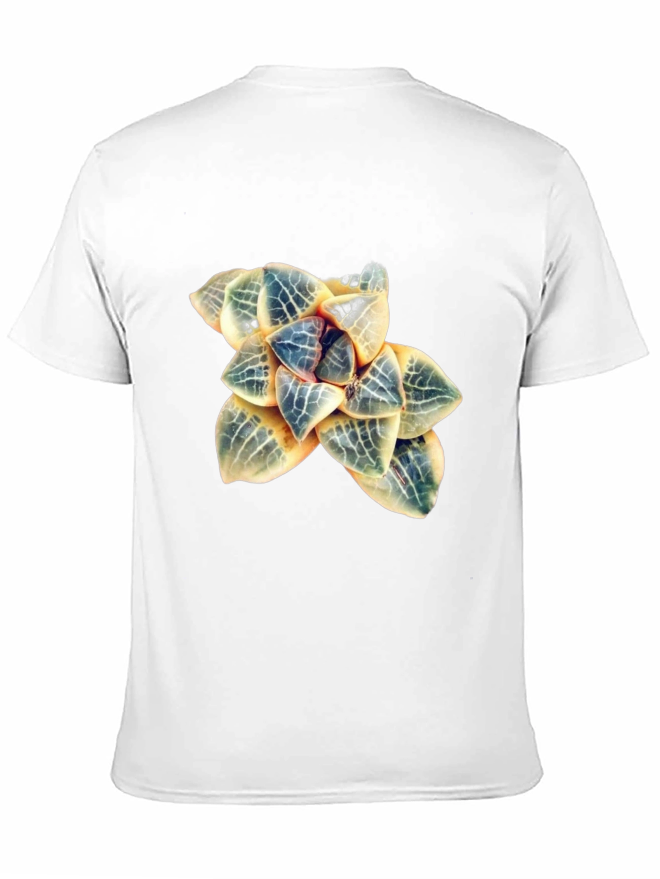 Botanical Haworthia T-Shirt