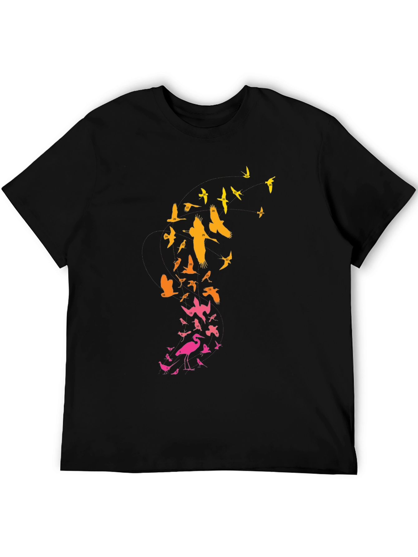 Birds in Flight Graphic Tee - Black