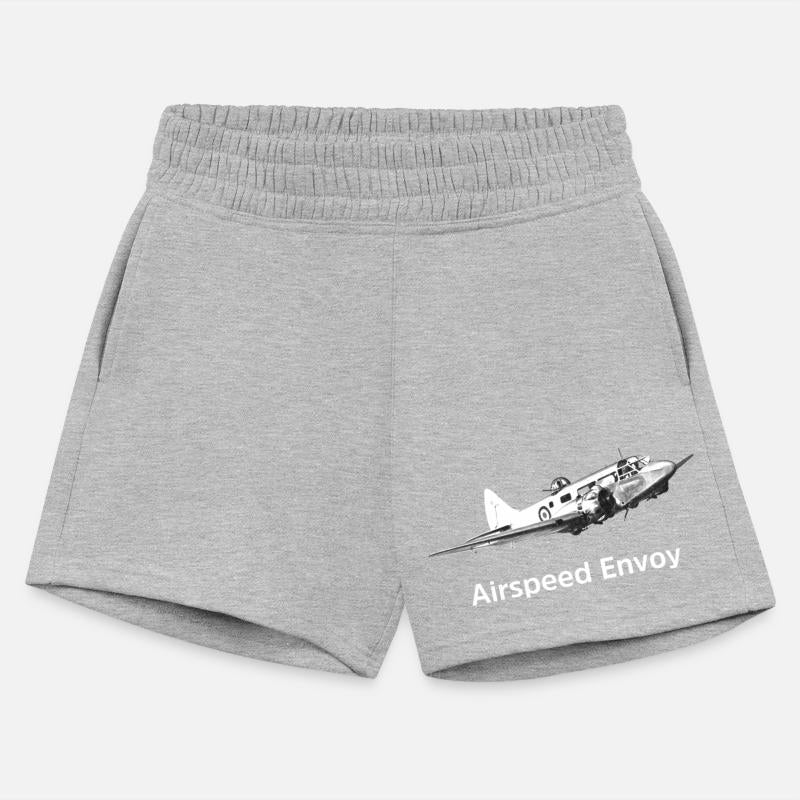 Airspeed Envoy Transport aircraft