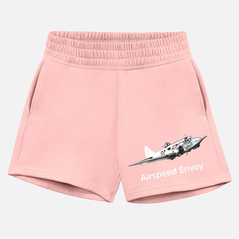 Airspeed Envoy Transport aircraft