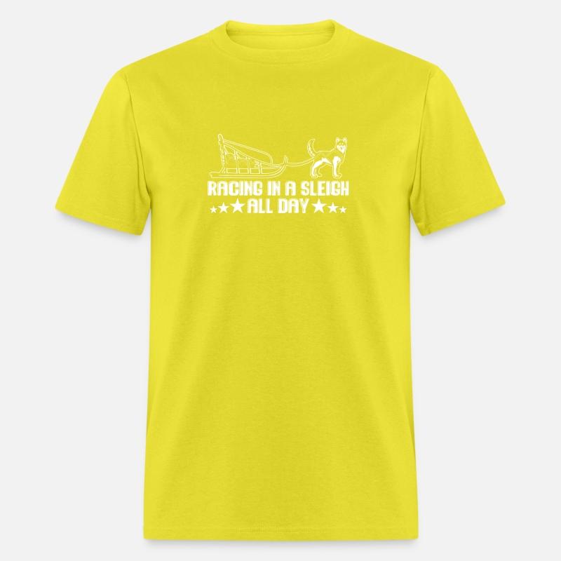 Alaska Sled Dog Racing In A Sleigh All Day Mushing