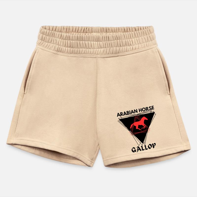 Arabian Horse Stallion Equestrian Kight Jockey