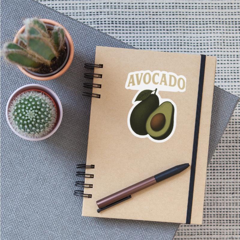 Avocado Botanical Illustration