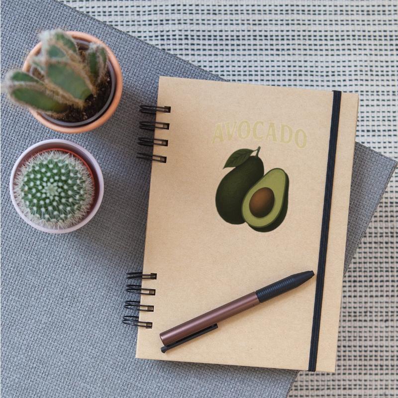 Avocado Botanical Illustration