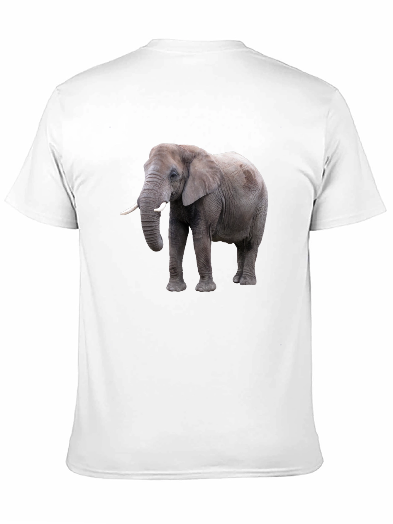 Elephant Graphic Tee - Black Cotton Casual T-Shirt