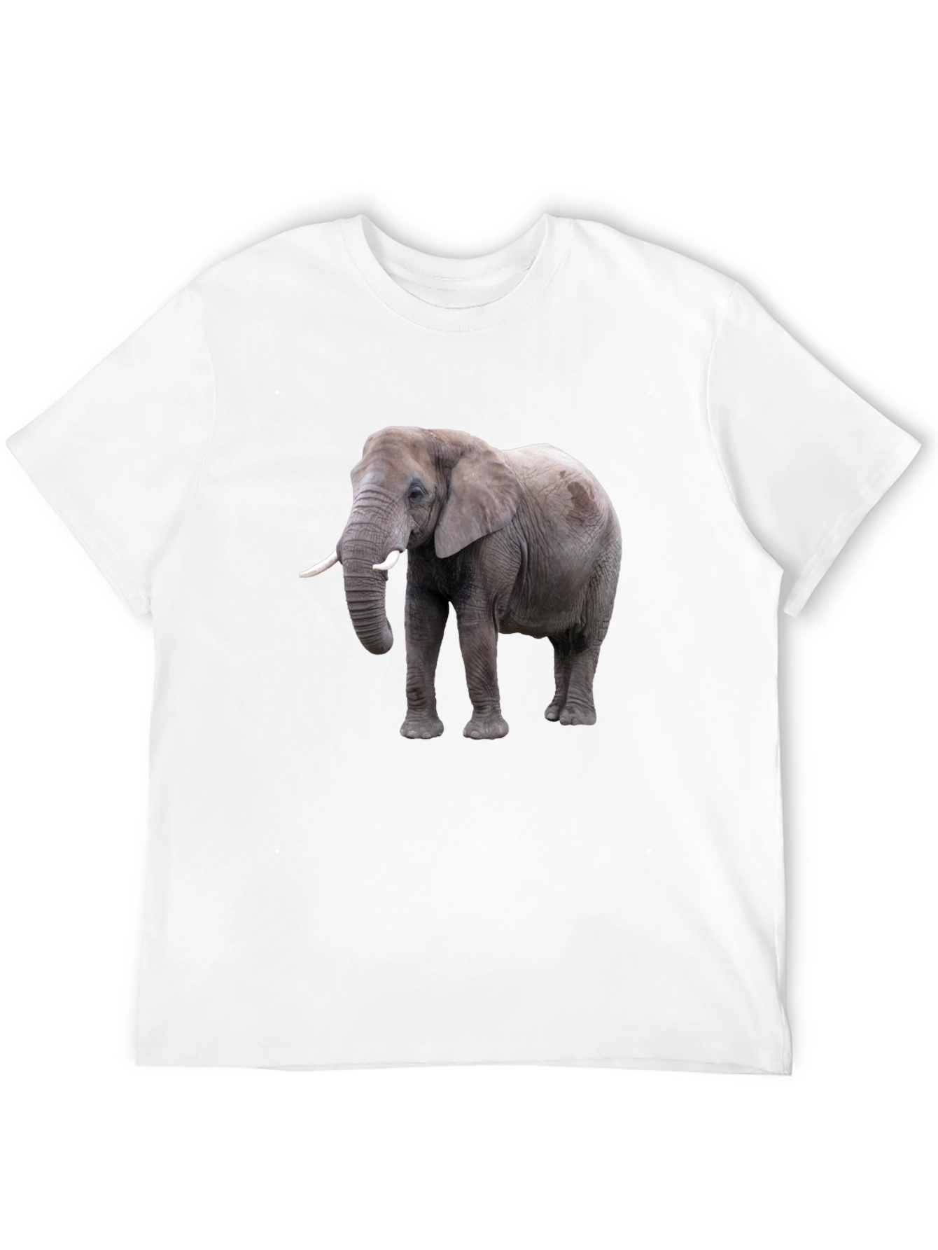 Elephant Graphic Tee - Black Cotton Casual T-Shirt