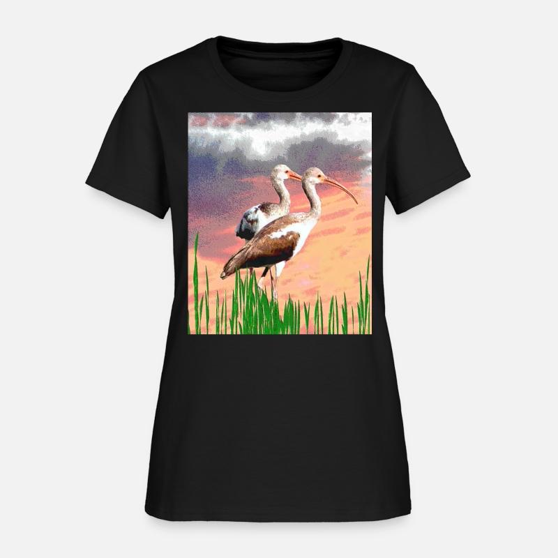 Brown Ibis Birds at Sunrise in Florida