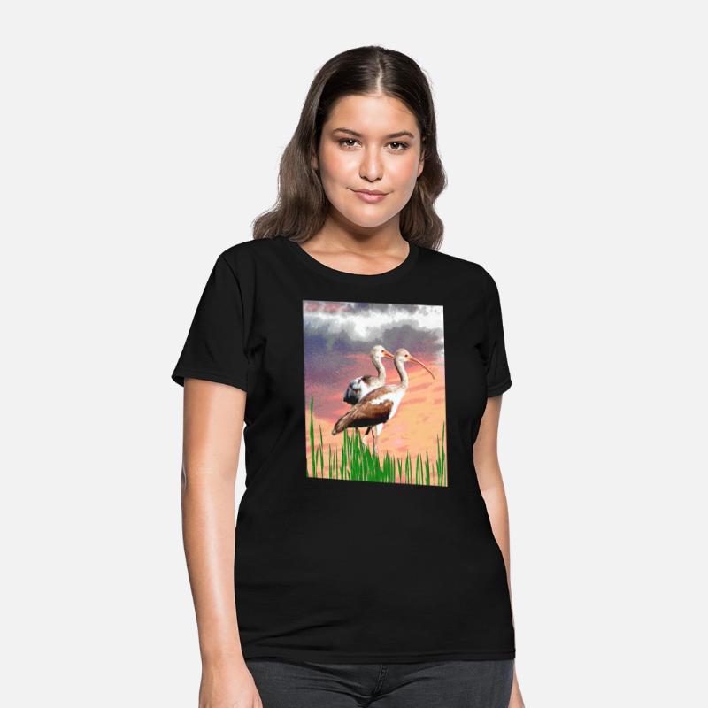 Brown Ibis Birds at Sunrise in Florida