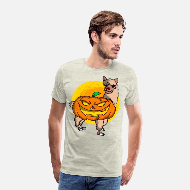 Cute Spooky Halloween Alpaca with Pumpkin Costume