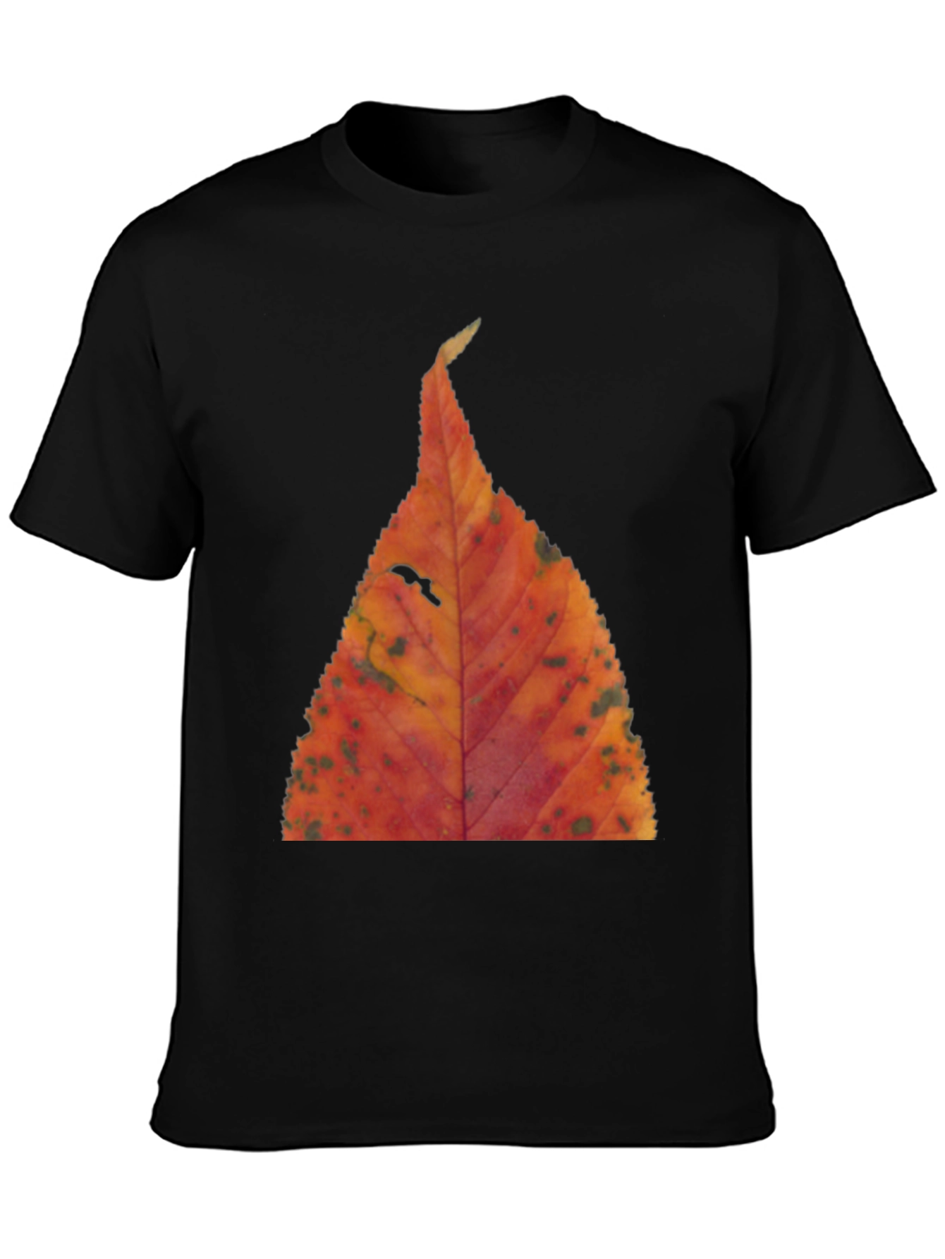 Fall Leaf Print Black T-Shirt