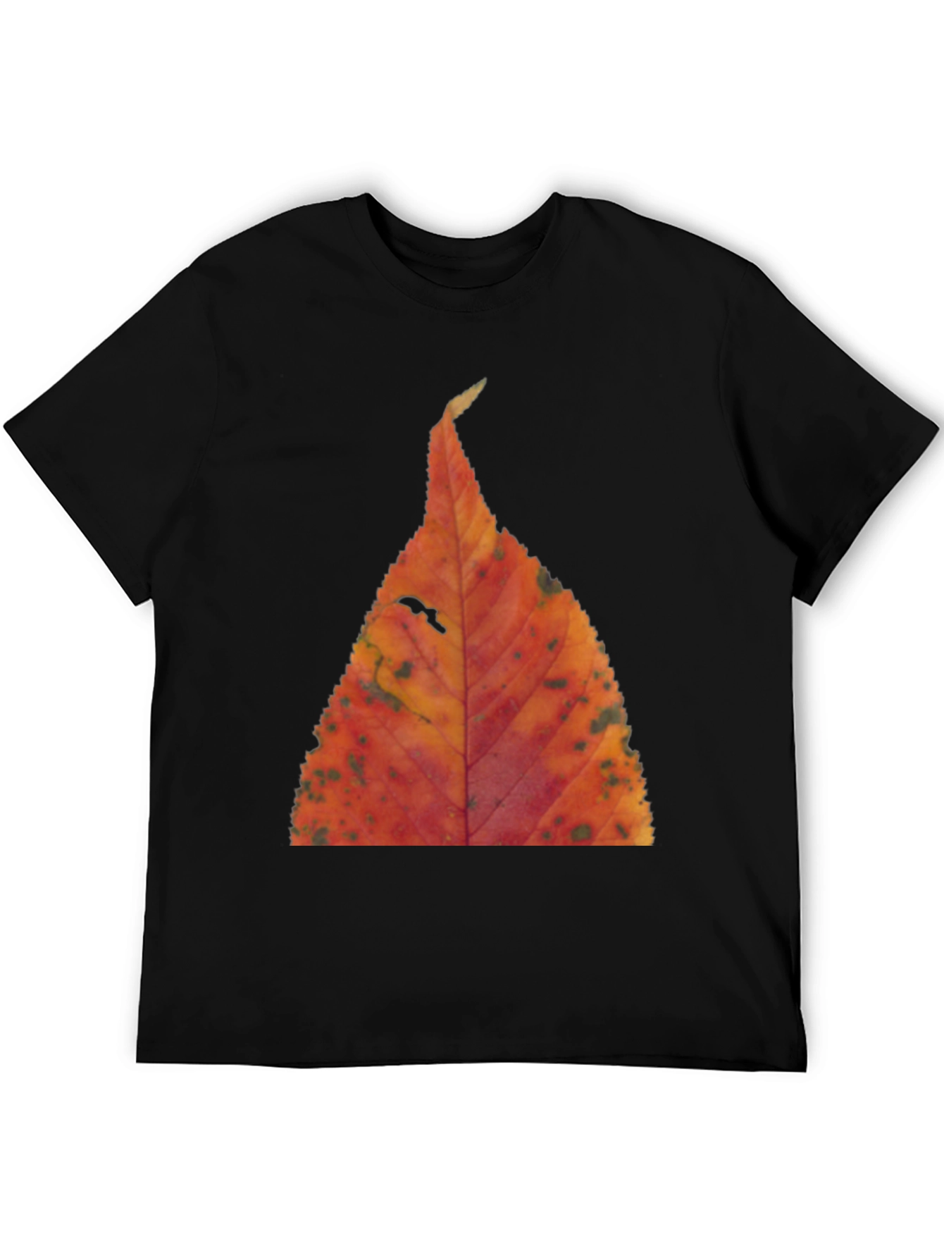 Fall Leaf Print Black T-Shirt