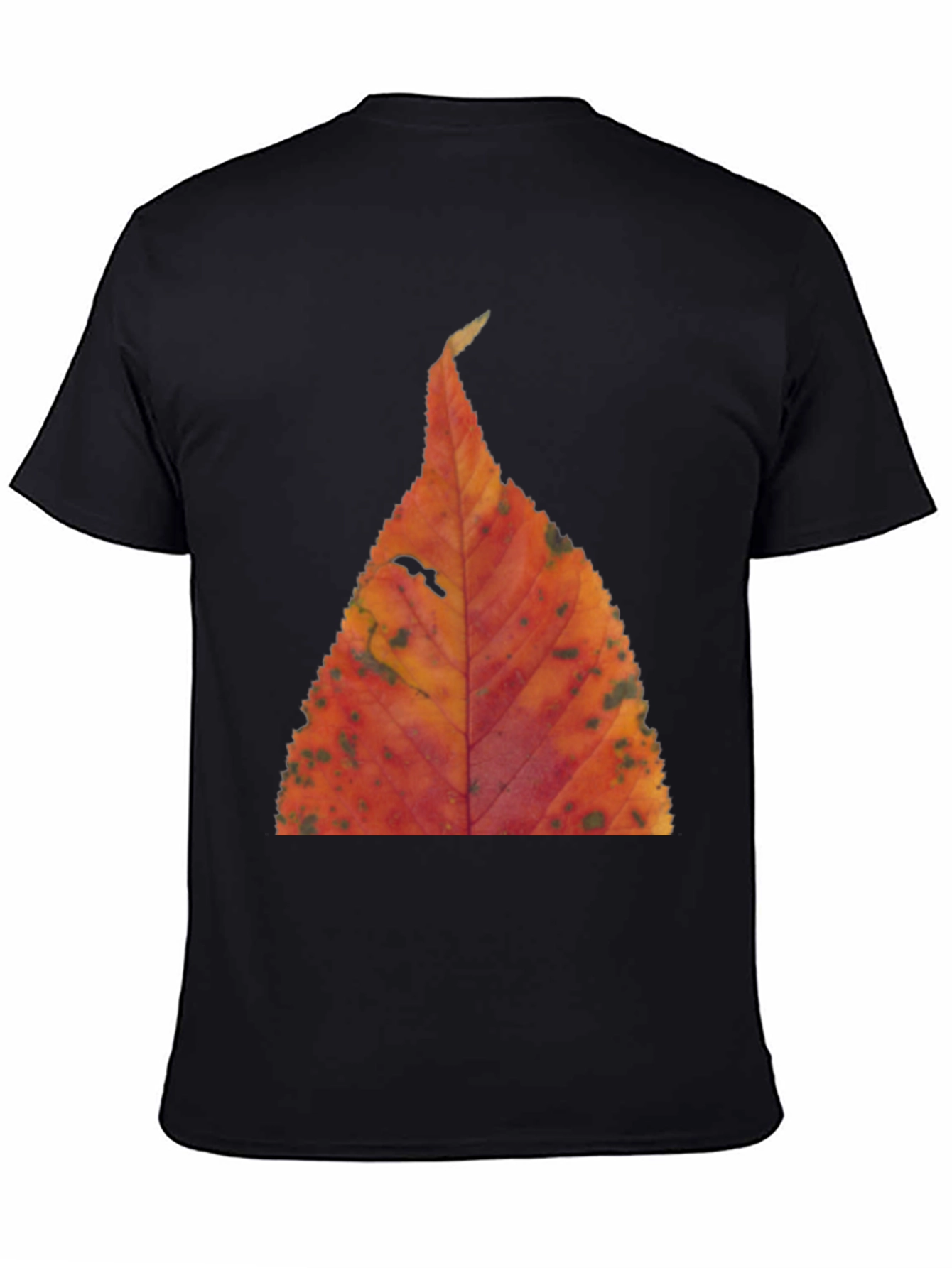Fall Leaf Print Black T-Shirt