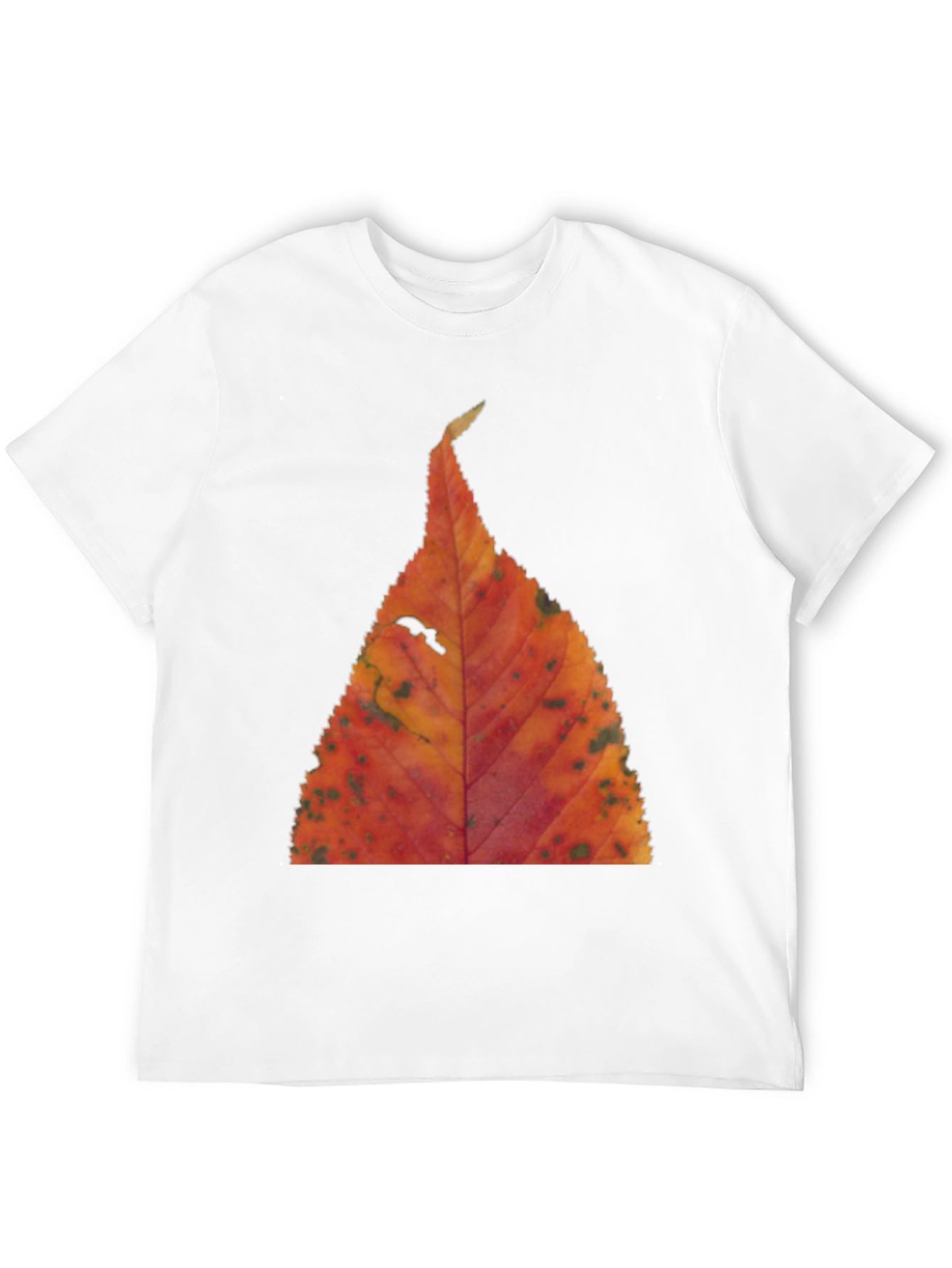 Fall Leaf Print Black T-Shirt